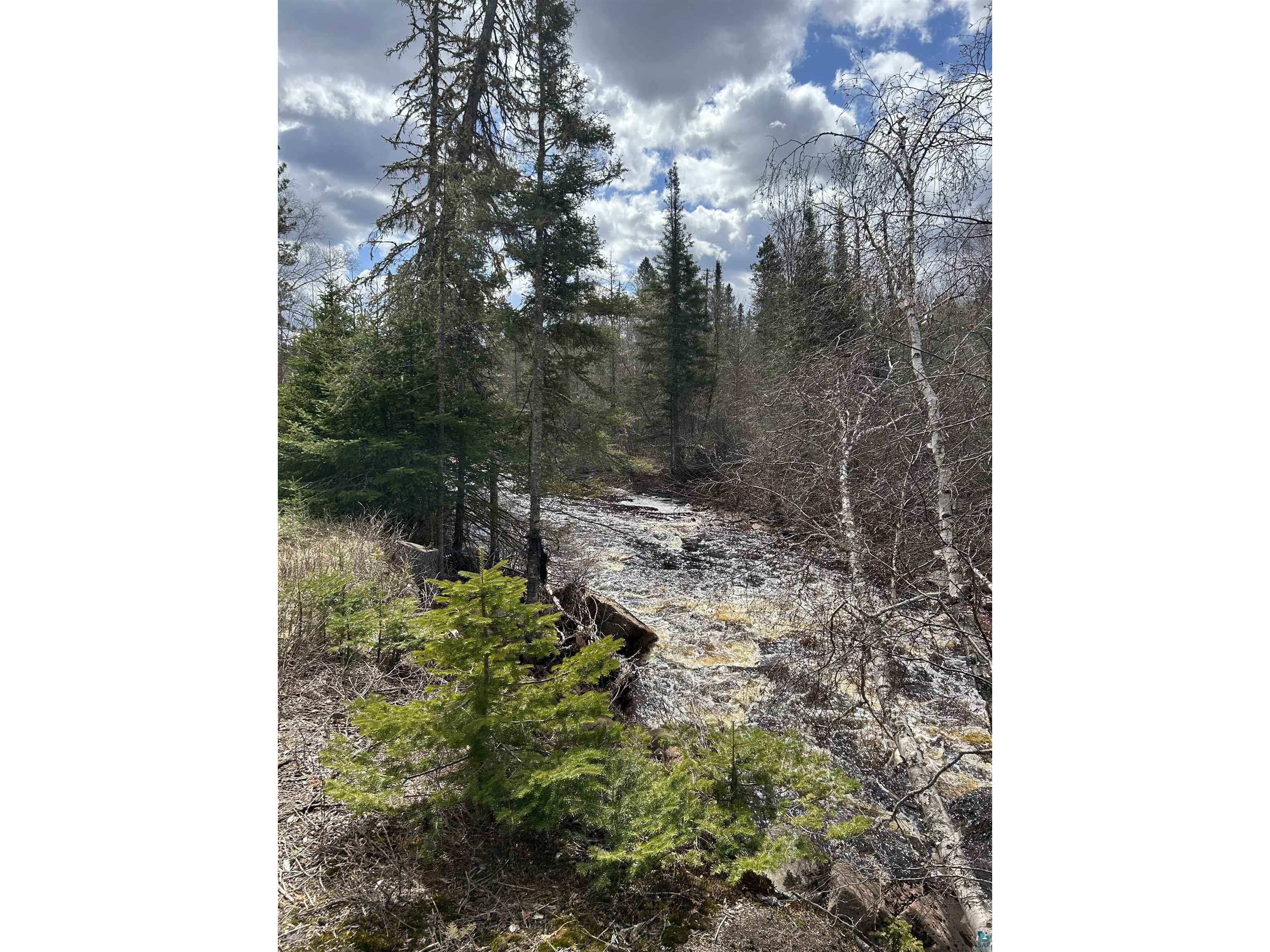 7185 HWY 1 Finland MN 55603 - Baptism River 6124974 image48