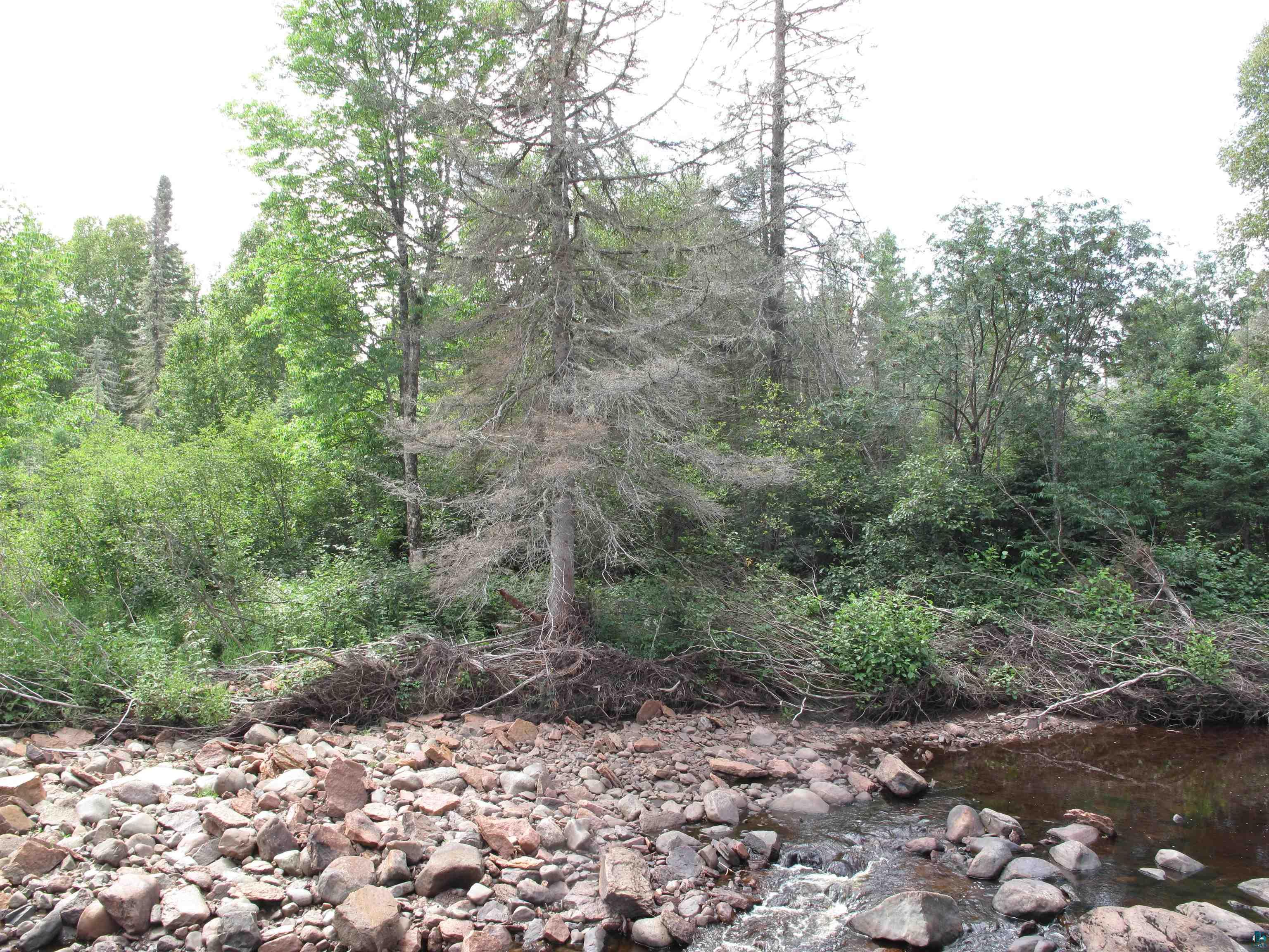 7185 HWY 1 Finland MN 55603 - Baptism River 6124974 image63