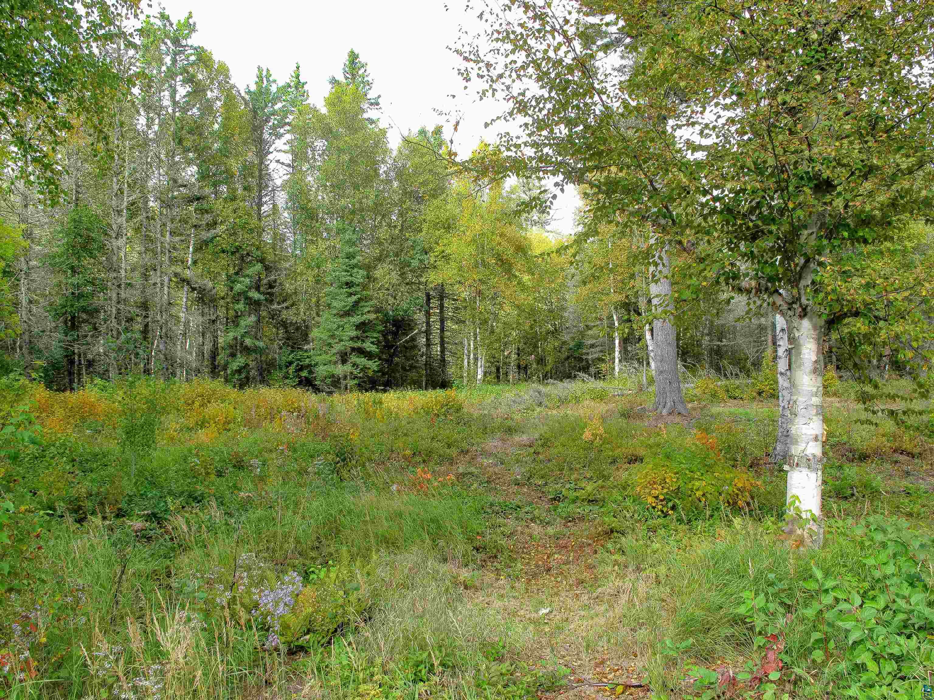 7185 HWY 1 Finland MN 55603 - Baptism River 6124974 image65