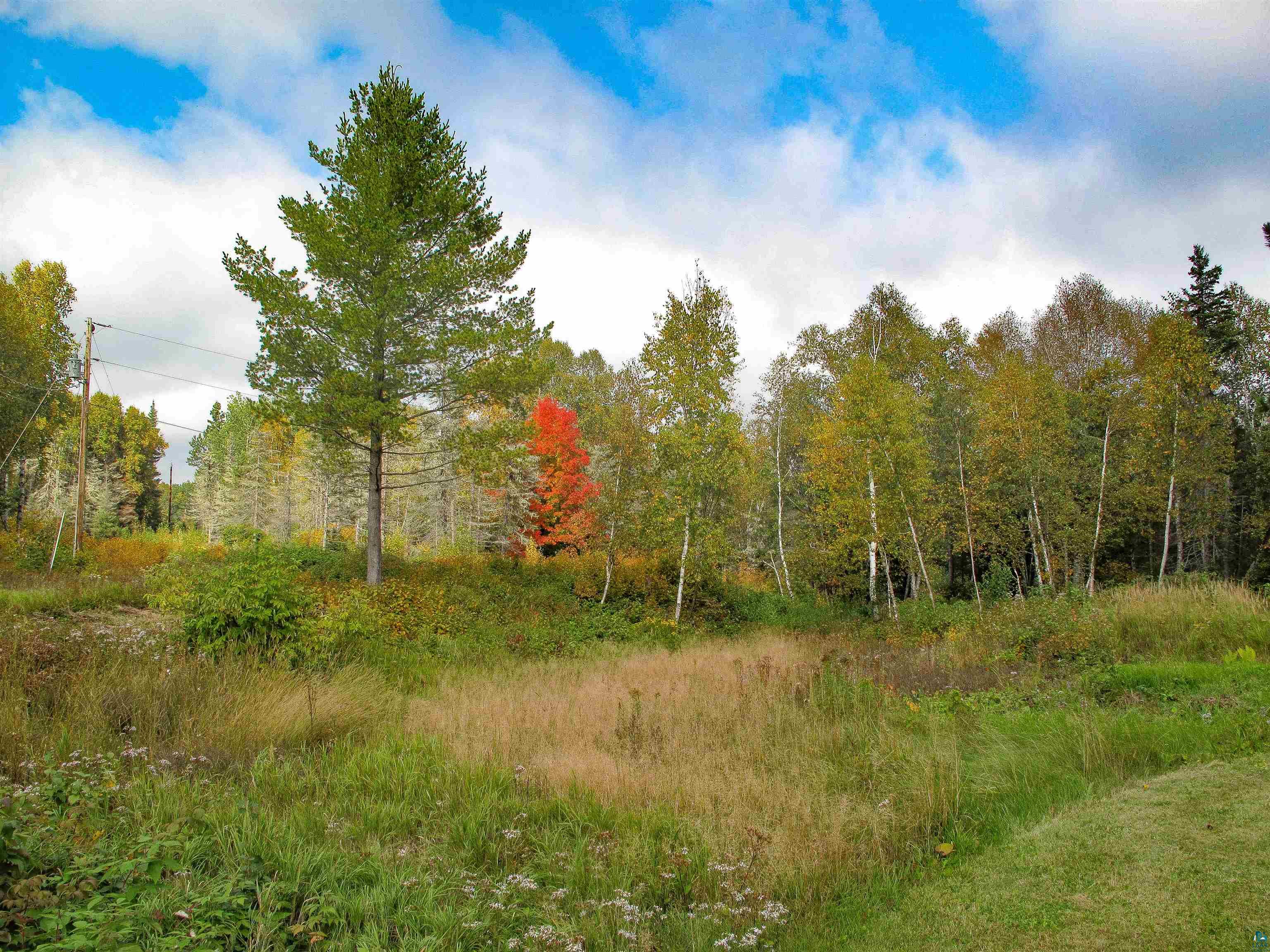 7185 HWY 1 Finland MN 55603 - Baptism River 6124974 image66