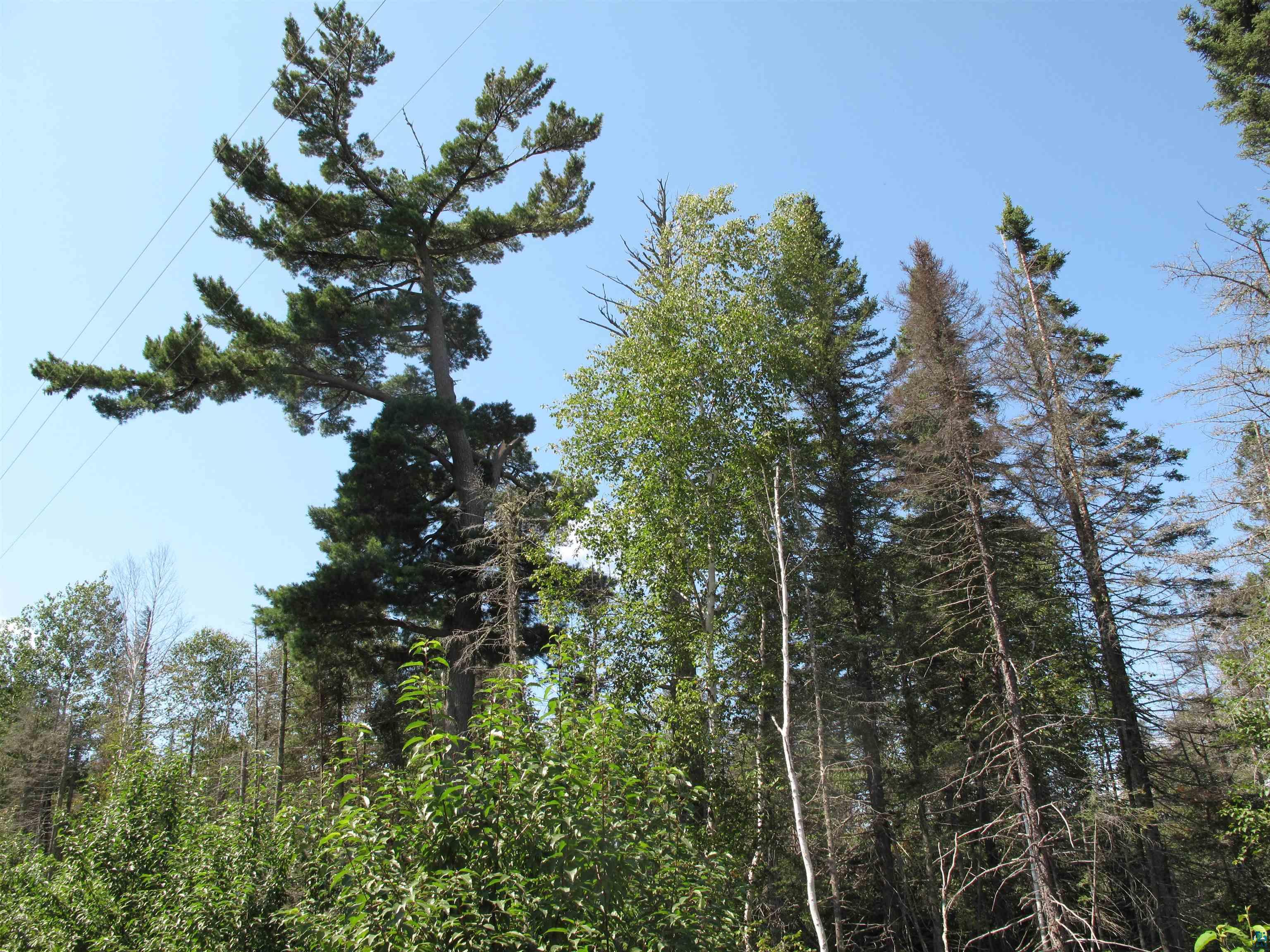 7185 HWY 1 Finland MN 55603 - Baptism River 6124974 image68