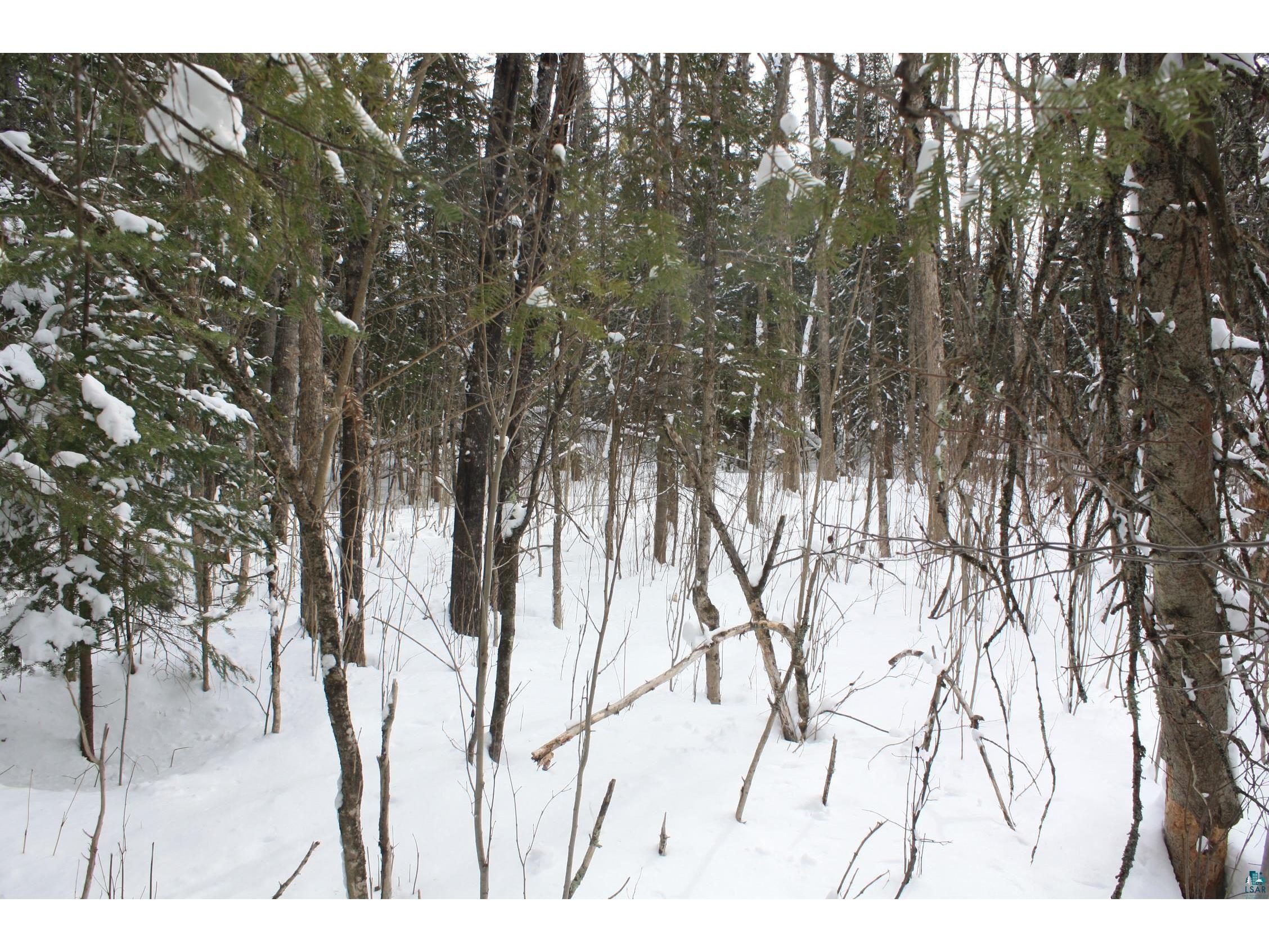 7195 E State Hwy 13 South Range WI 54874 - Morris 6123801 image65