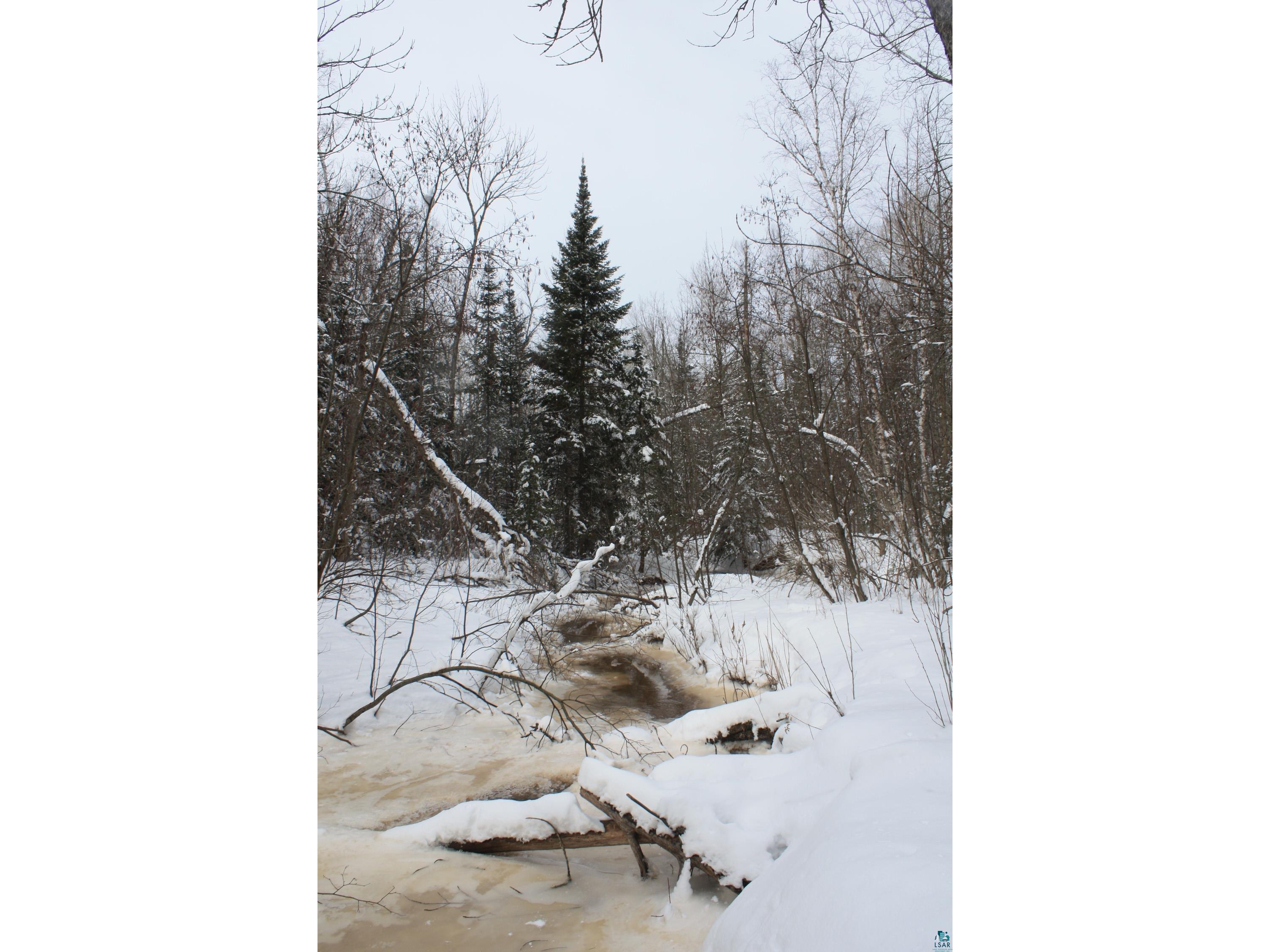 7195 E State Hwy 13 South Range WI 54874 - Morris 6123801 image71