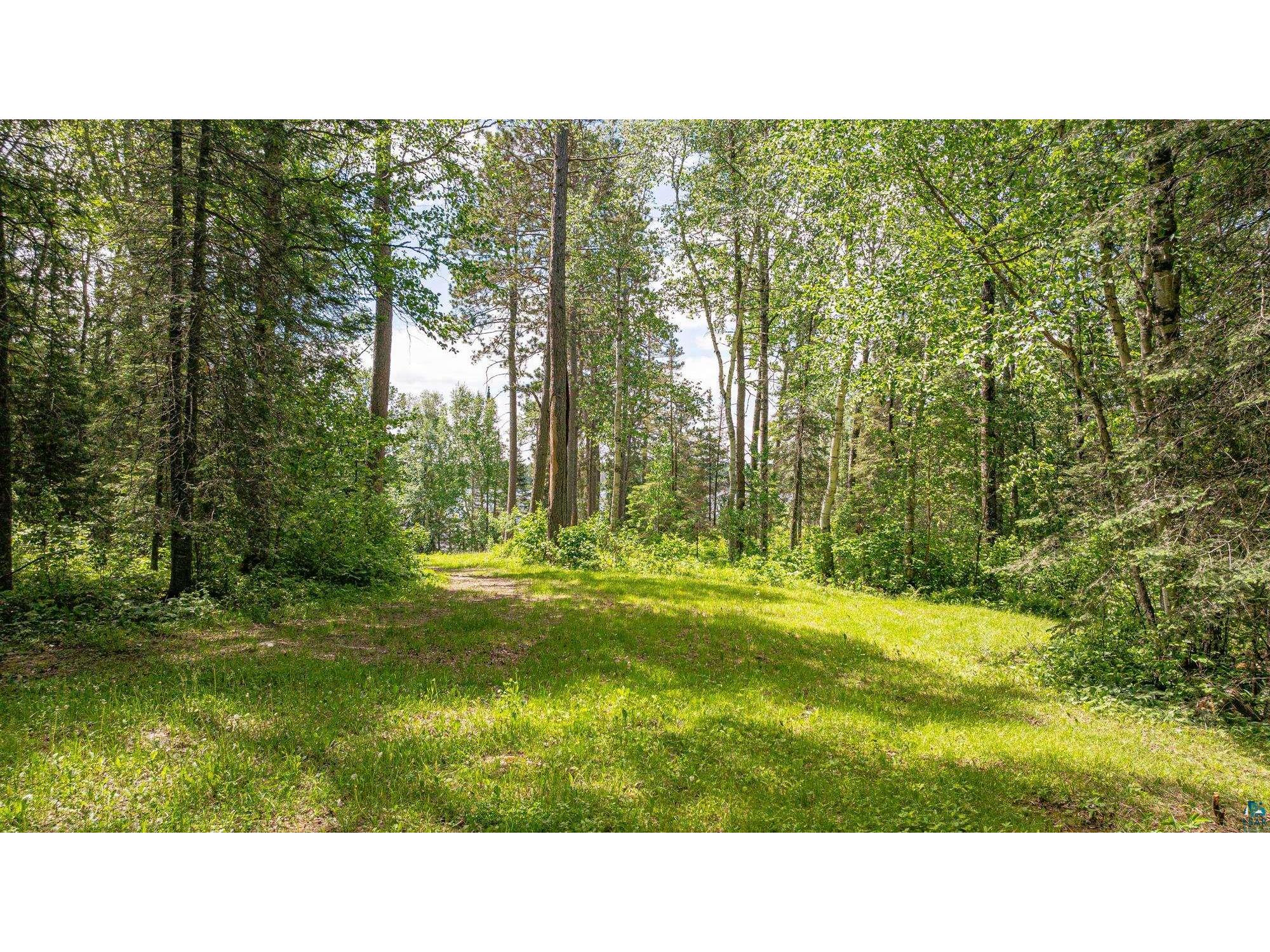 7280 Far North Rd Buyck MN 55772 - Vermillion River 6126165 image43