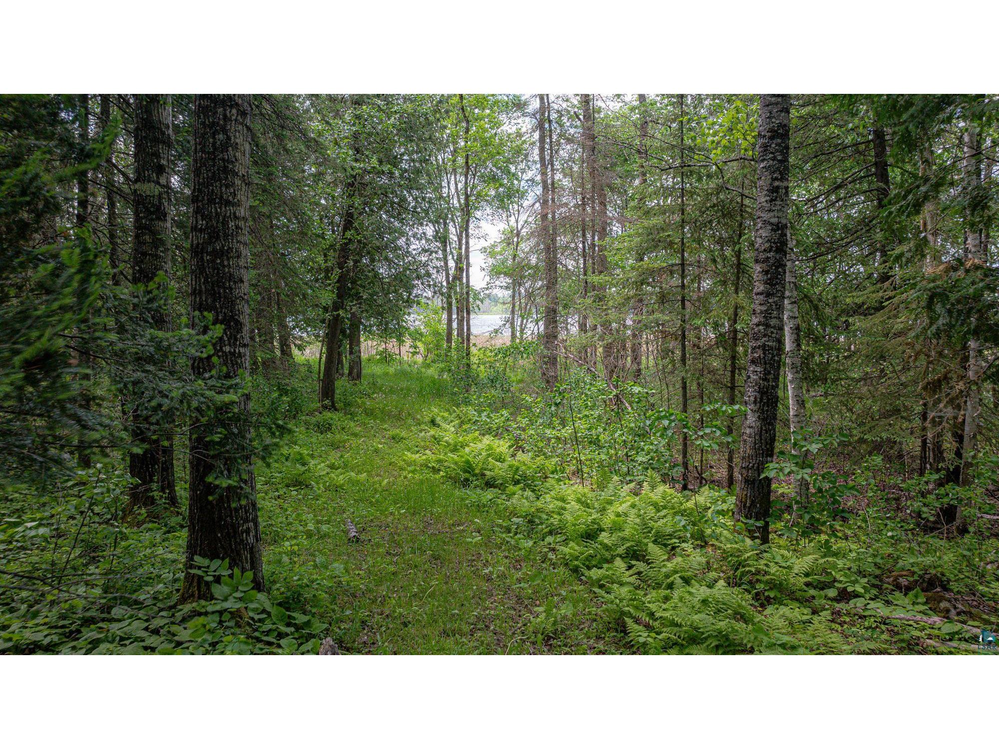 7280 Far North Rd Buyck MN 55772 - Vermillion River 6126165 image68