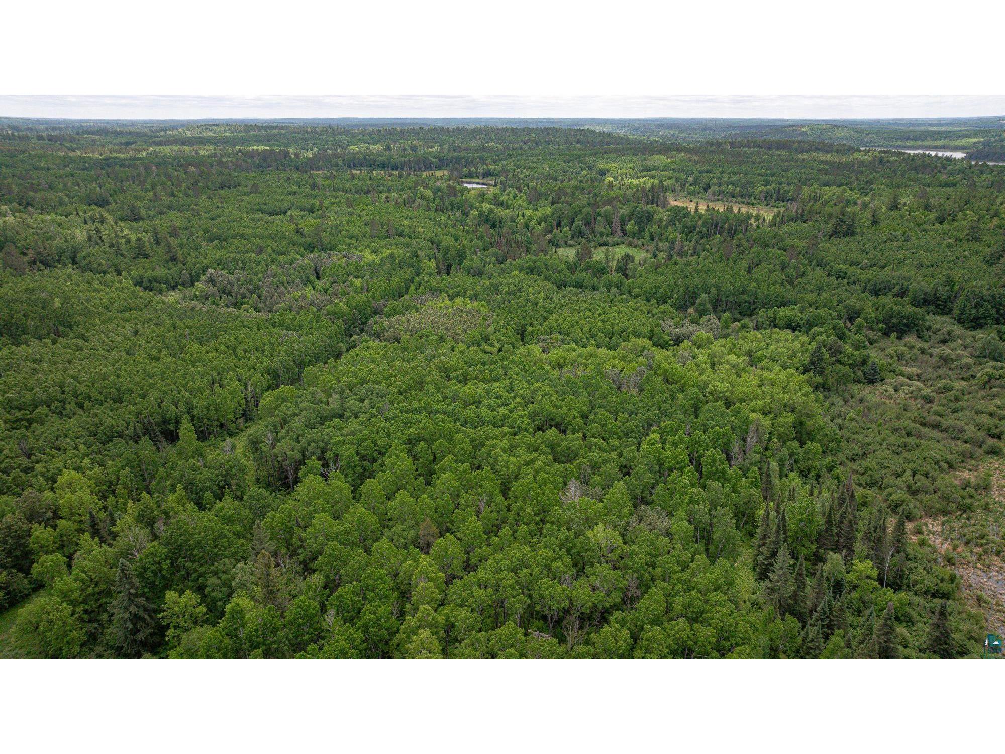 7280 Far North Rd Buyck MN 55772 - Vermillion River 6126165 image89