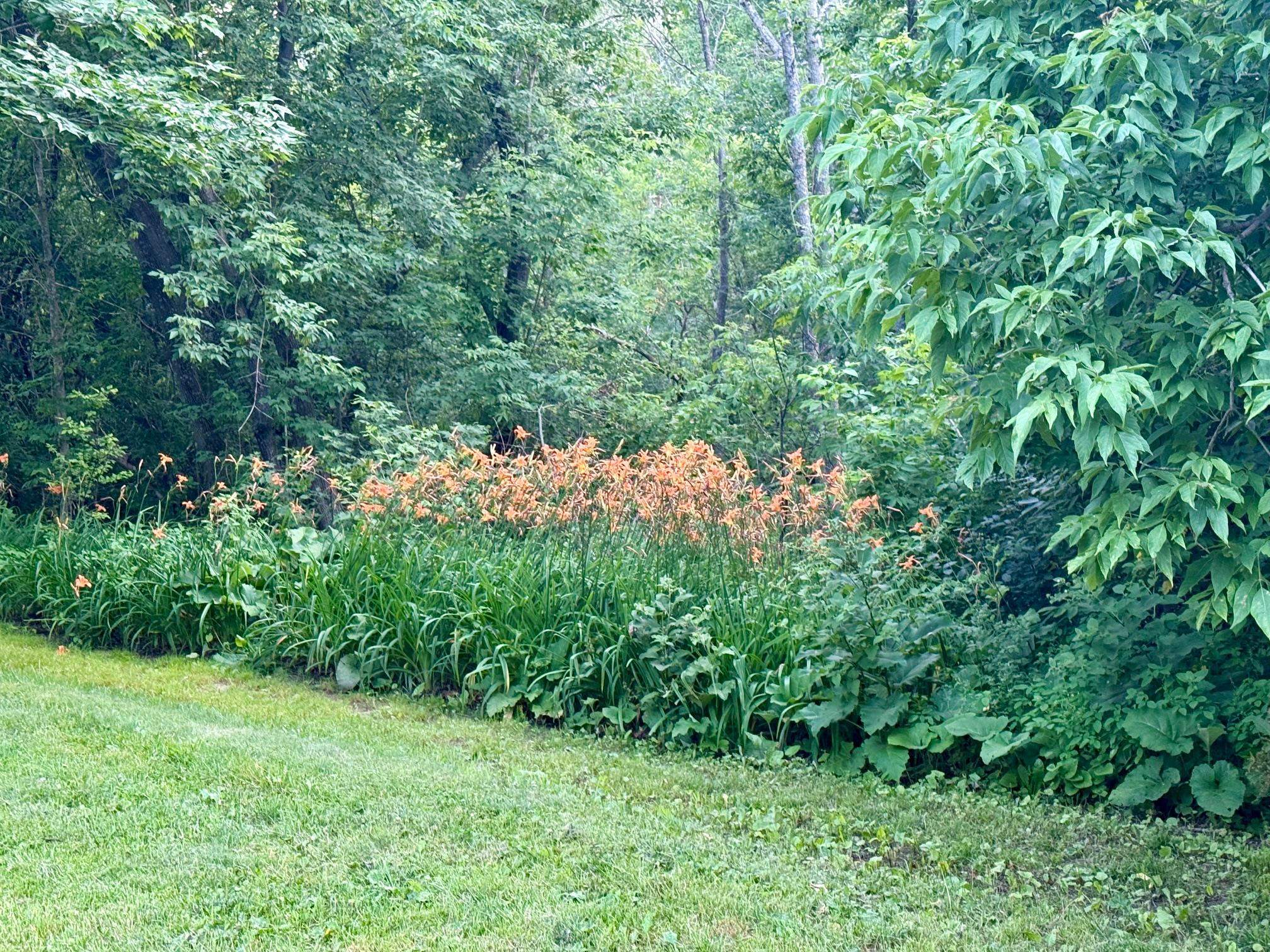 73645 Bjork Rd Washburn WI 54891 6116874 image15