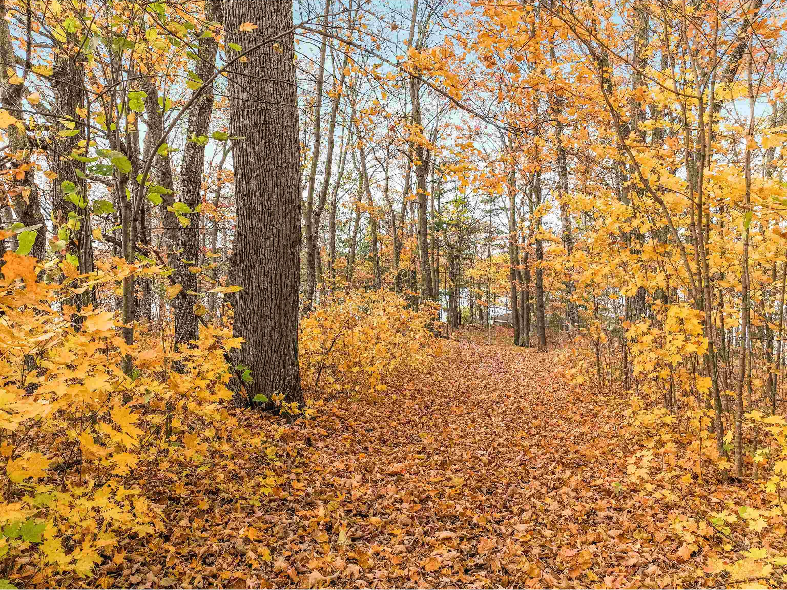 7369 N Kroehler Ln Hayward WI 54843 - Lac Courte Oreilles 6122625 image29