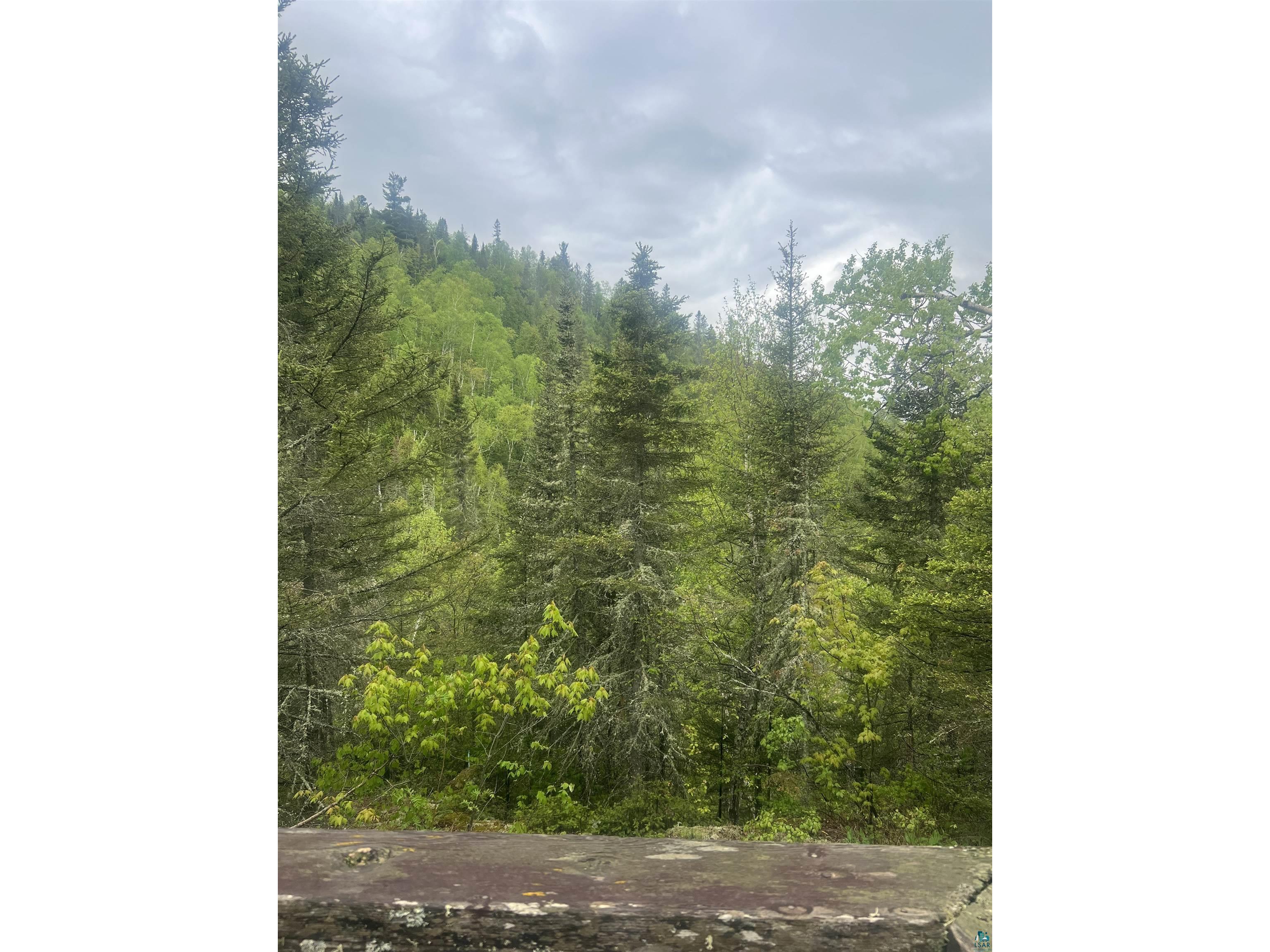7442 Cramer Rd Finland MN 55603 - Blesner 6125830 image24