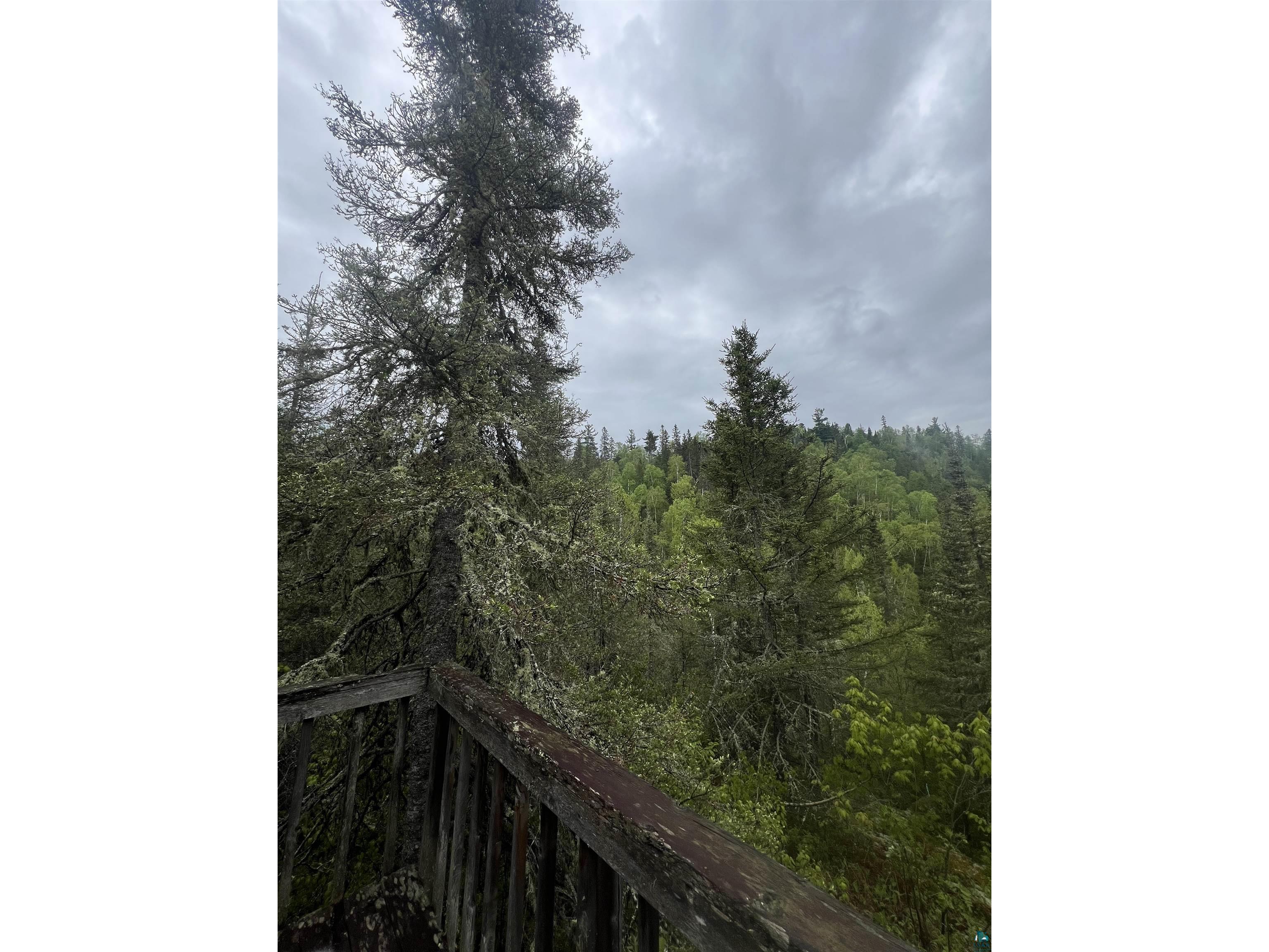 7442 Cramer Rd Finland MN 55603 - Blesner 6125830 image25