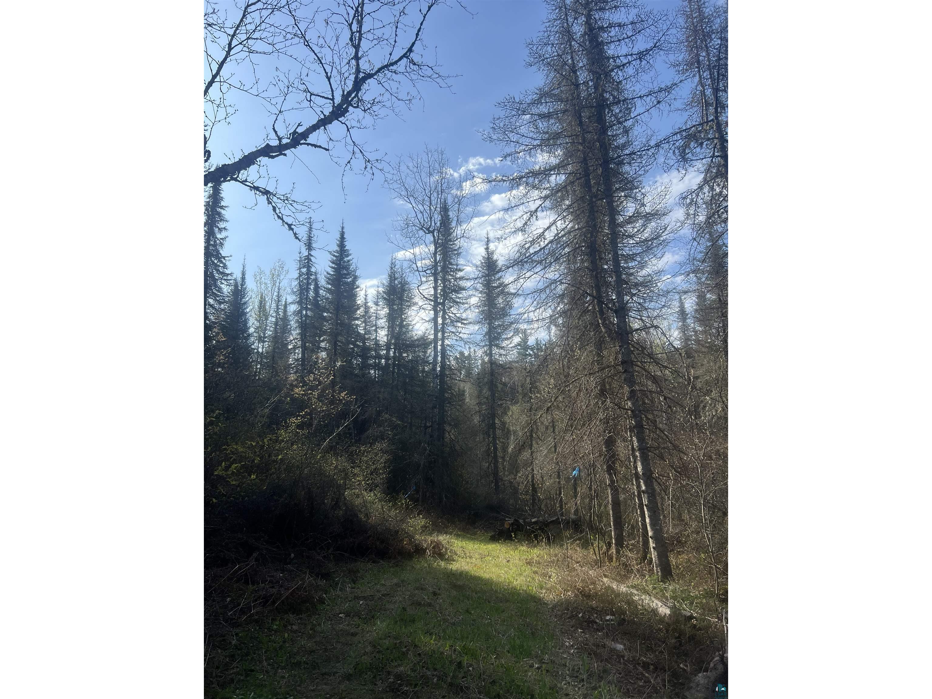 7442 Cramer Rd Finland MN 55603 - Blesner 6125830 image26