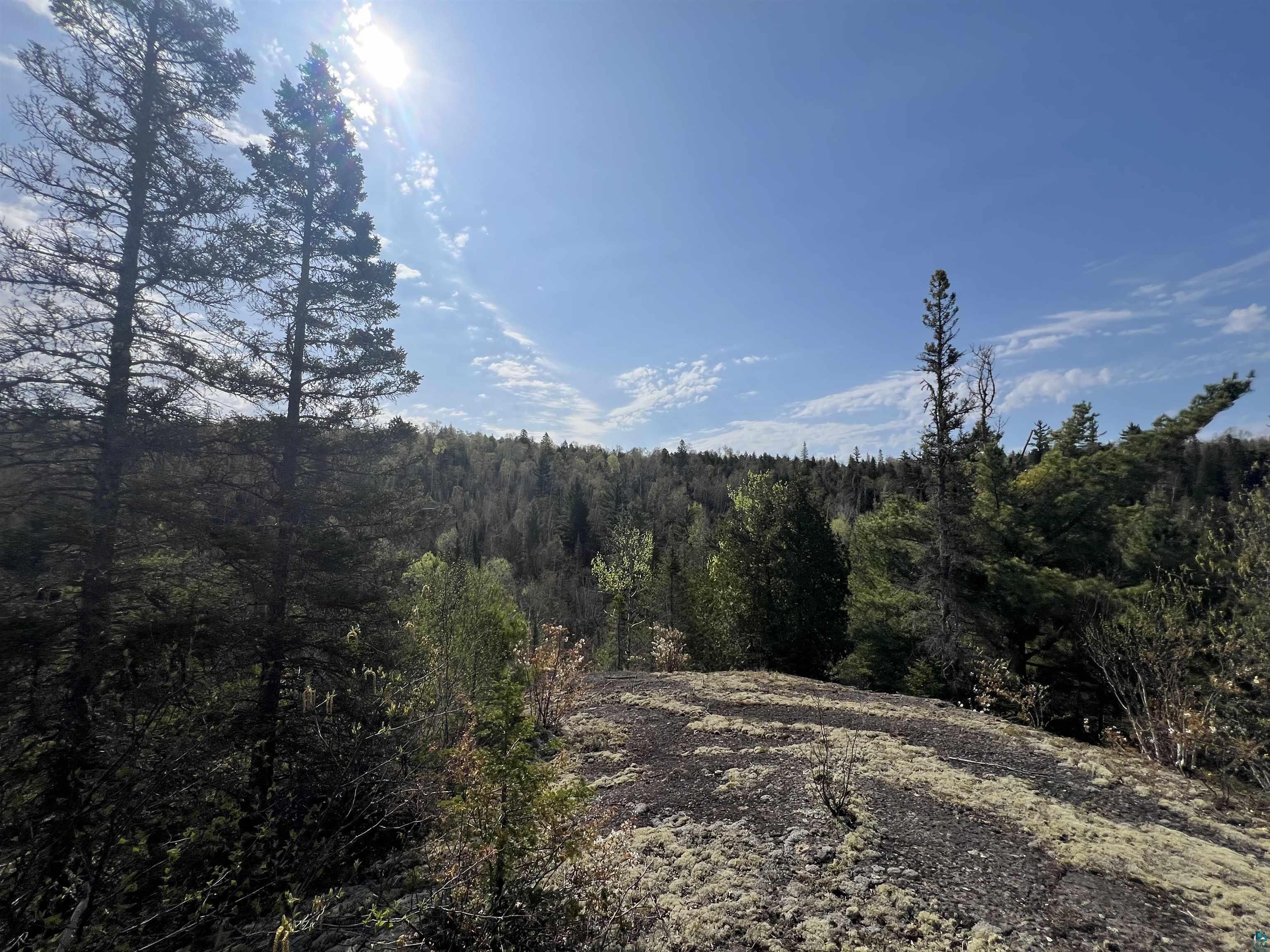 7442 Cramer Rd Finland MN 55603 - Blesner 6125830 image36