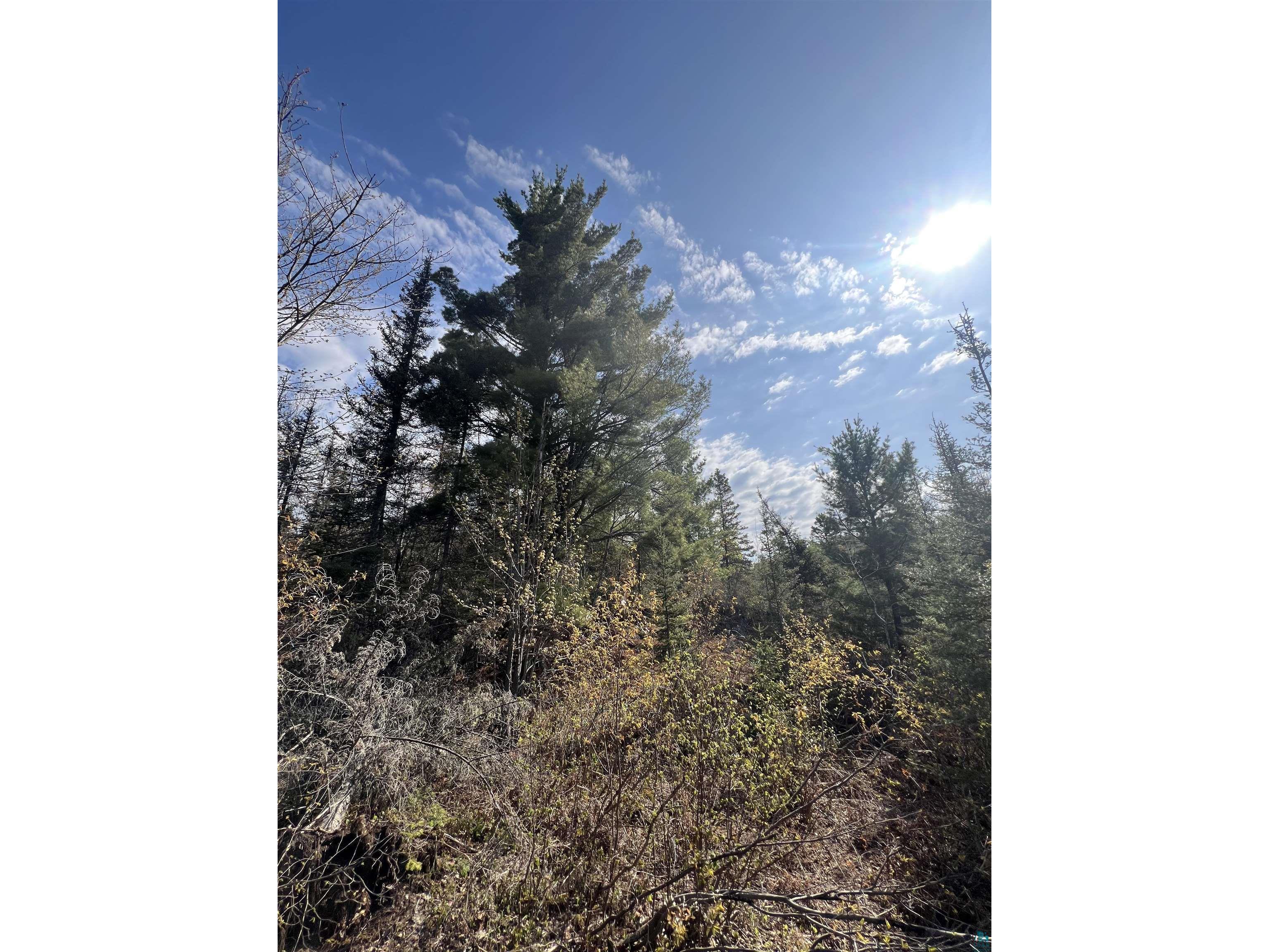 7442 Cramer Rd Finland MN 55603 - Blesner 6125830 image39