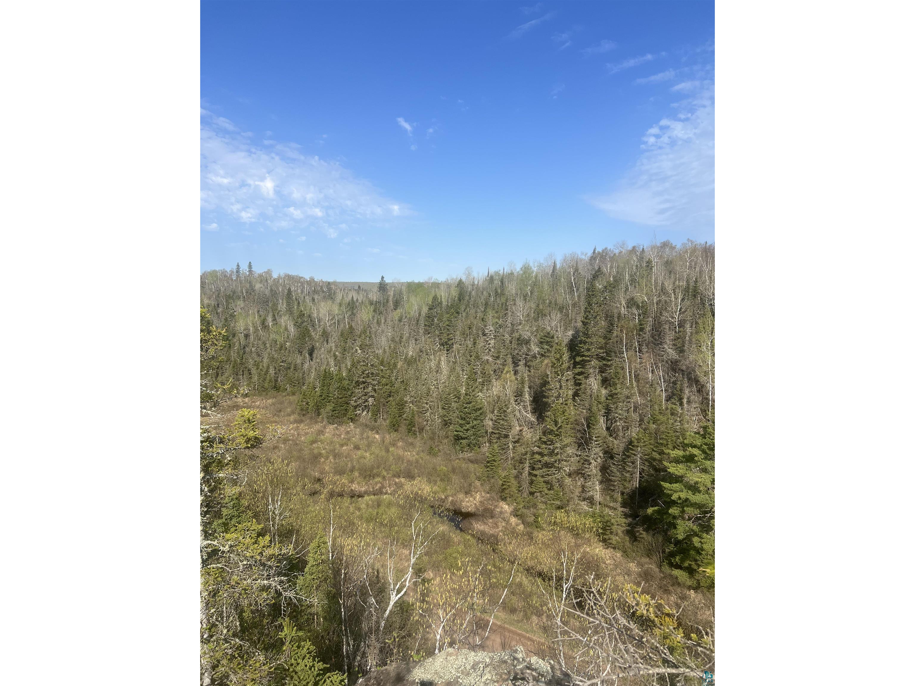 7442 Cramer Rd Finland MN 55603 - Blesner 6125830 image40