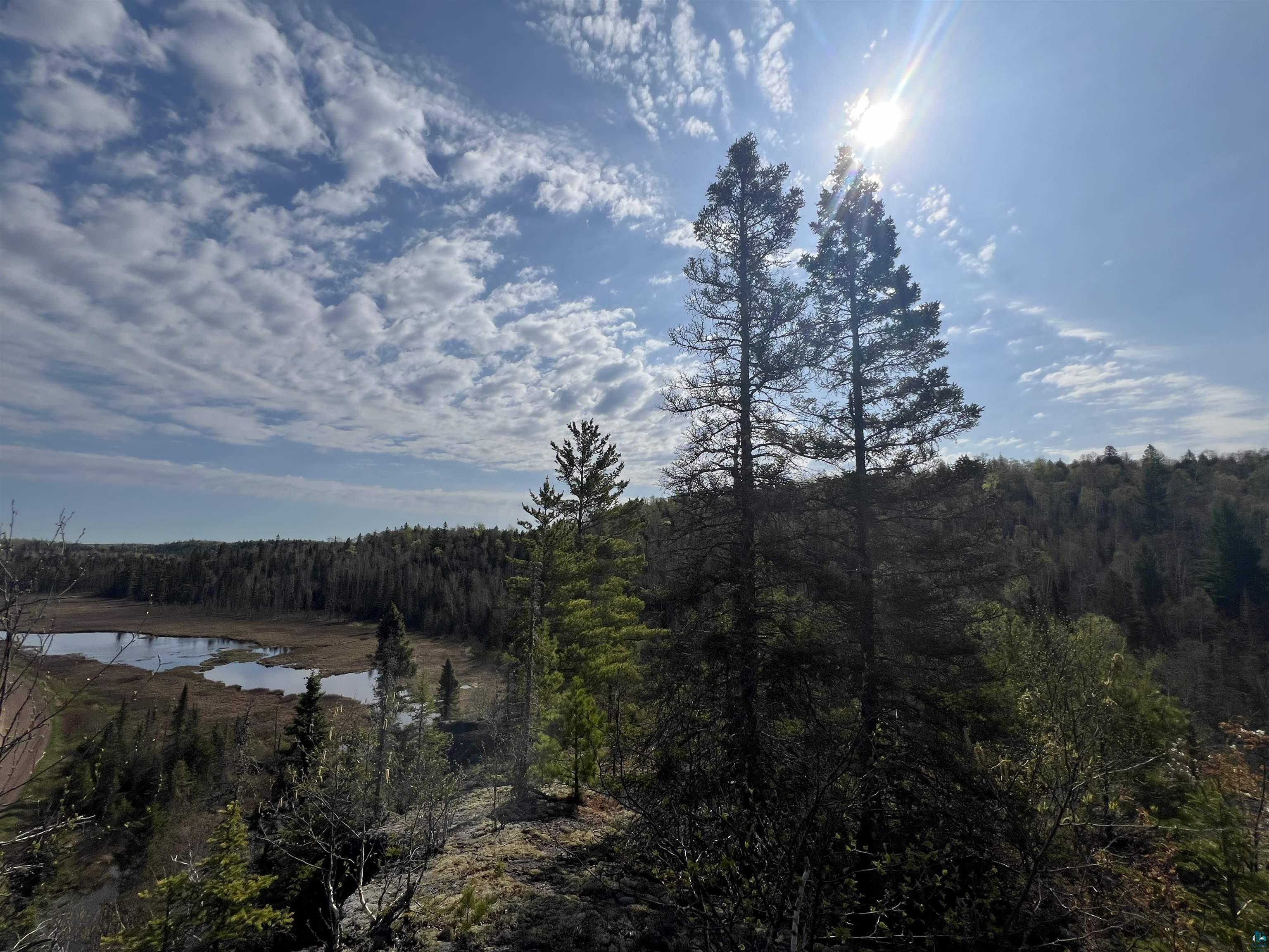 7442 Cramer Rd Finland MN 55603 - Blesner 6125830 image41