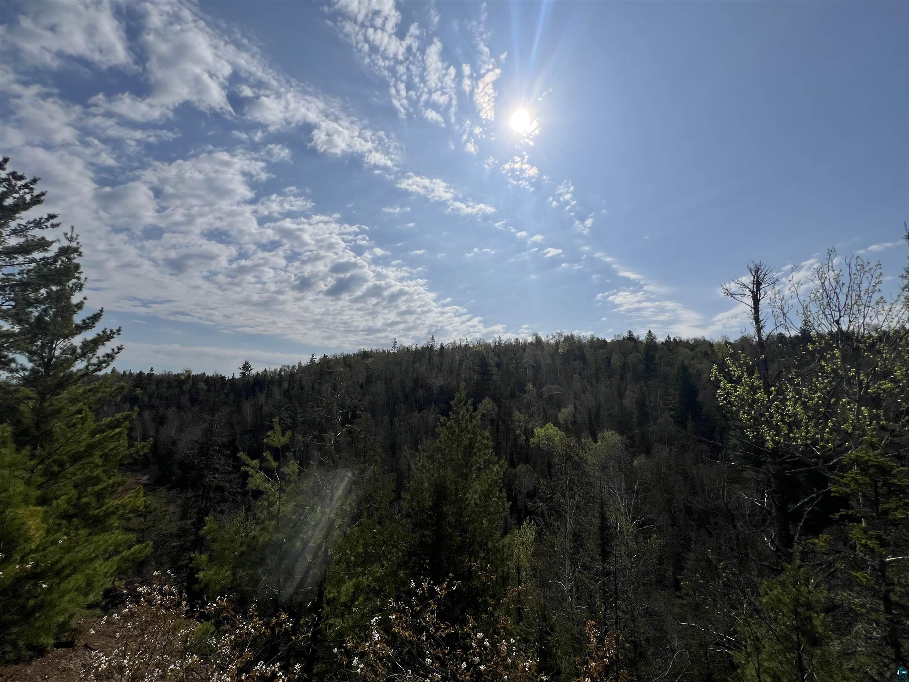7442 Cramer Rd Finland MN 55603 - Blesner 6125830 image42