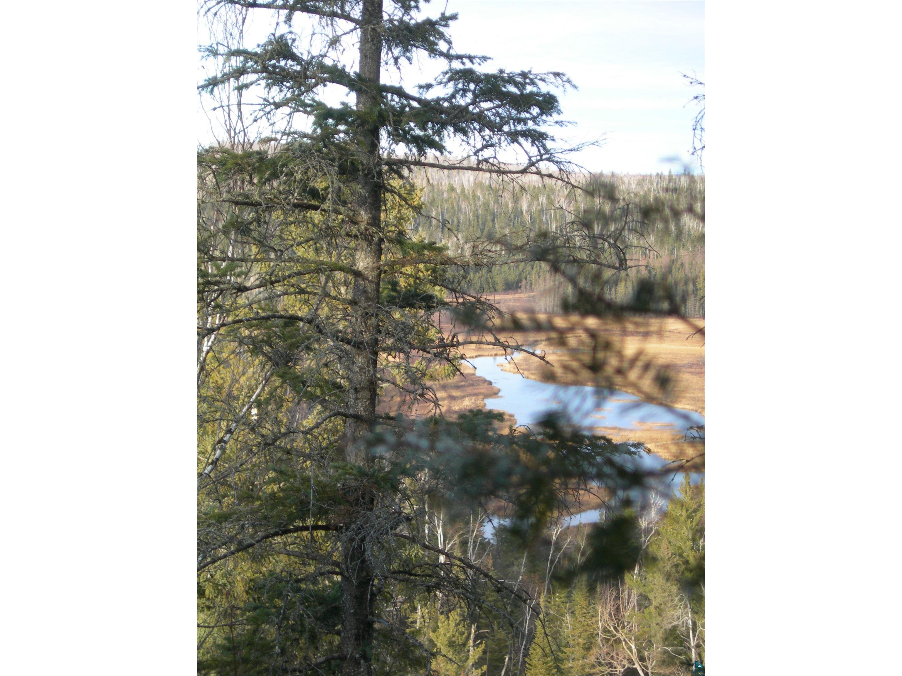 7442 Cramer Rd Finland MN 55603 - Blesner 6125830 image43