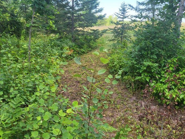 74845 Airport Rd Iron River WI 54847 6120006 image31