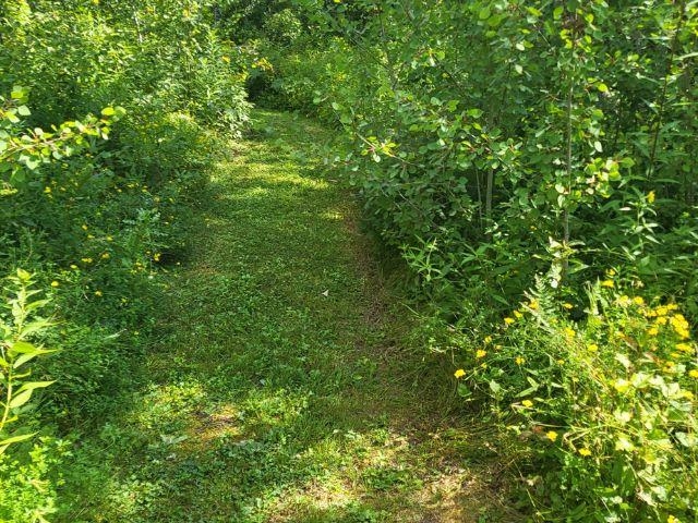 74845 Airport Rd Iron River WI 54847 6120006 image32