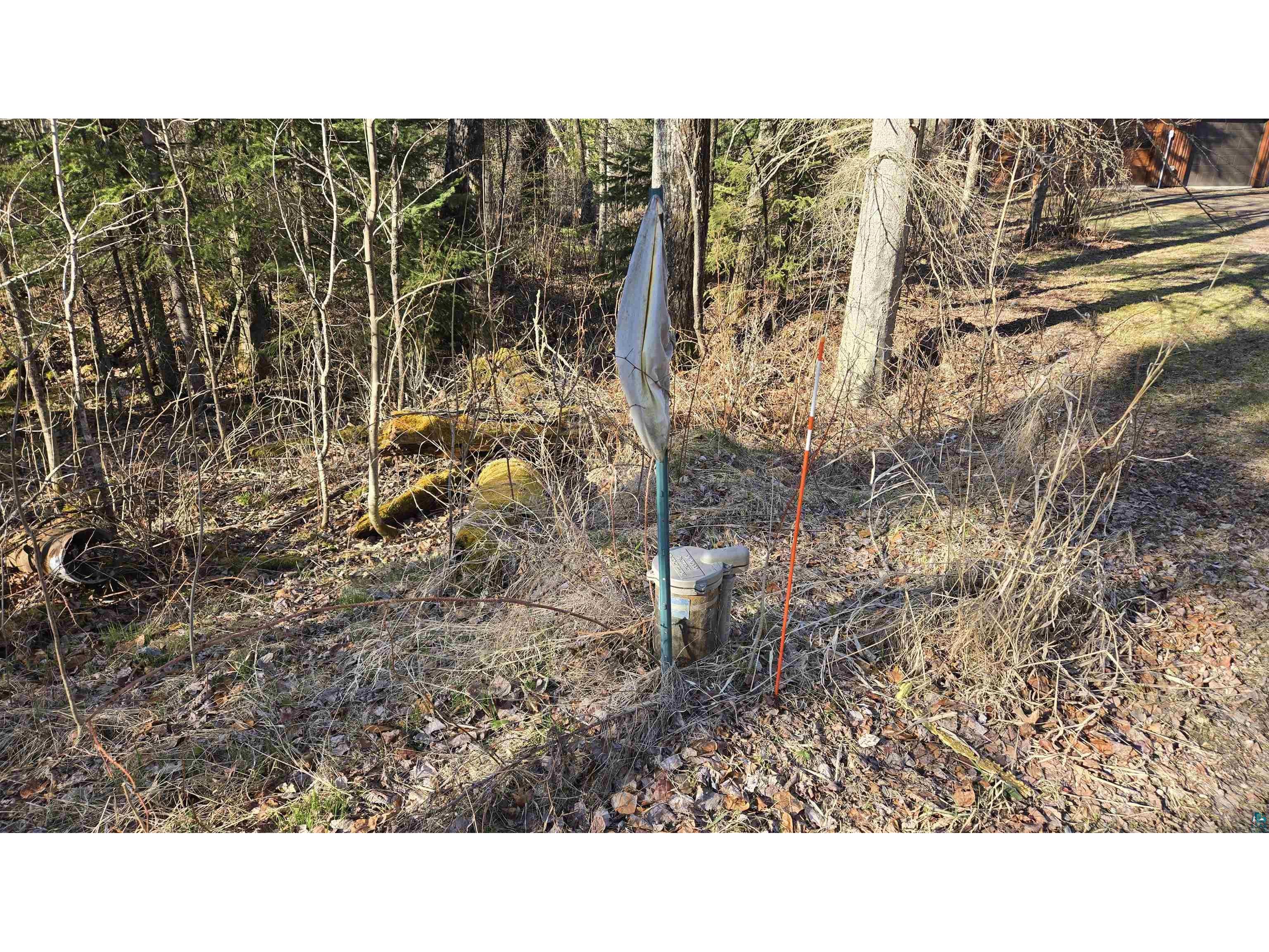 7485 Nelson Rd Crane Lake MN 55725 - Crane 6125063 image46