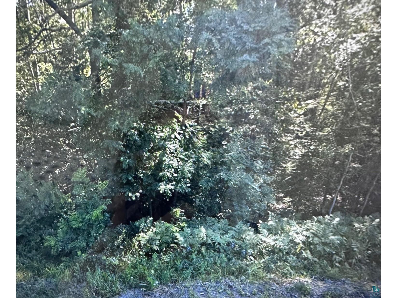 74XXX S Hallberg Rd Lake Nebagamon WI 54849 6117739 image1