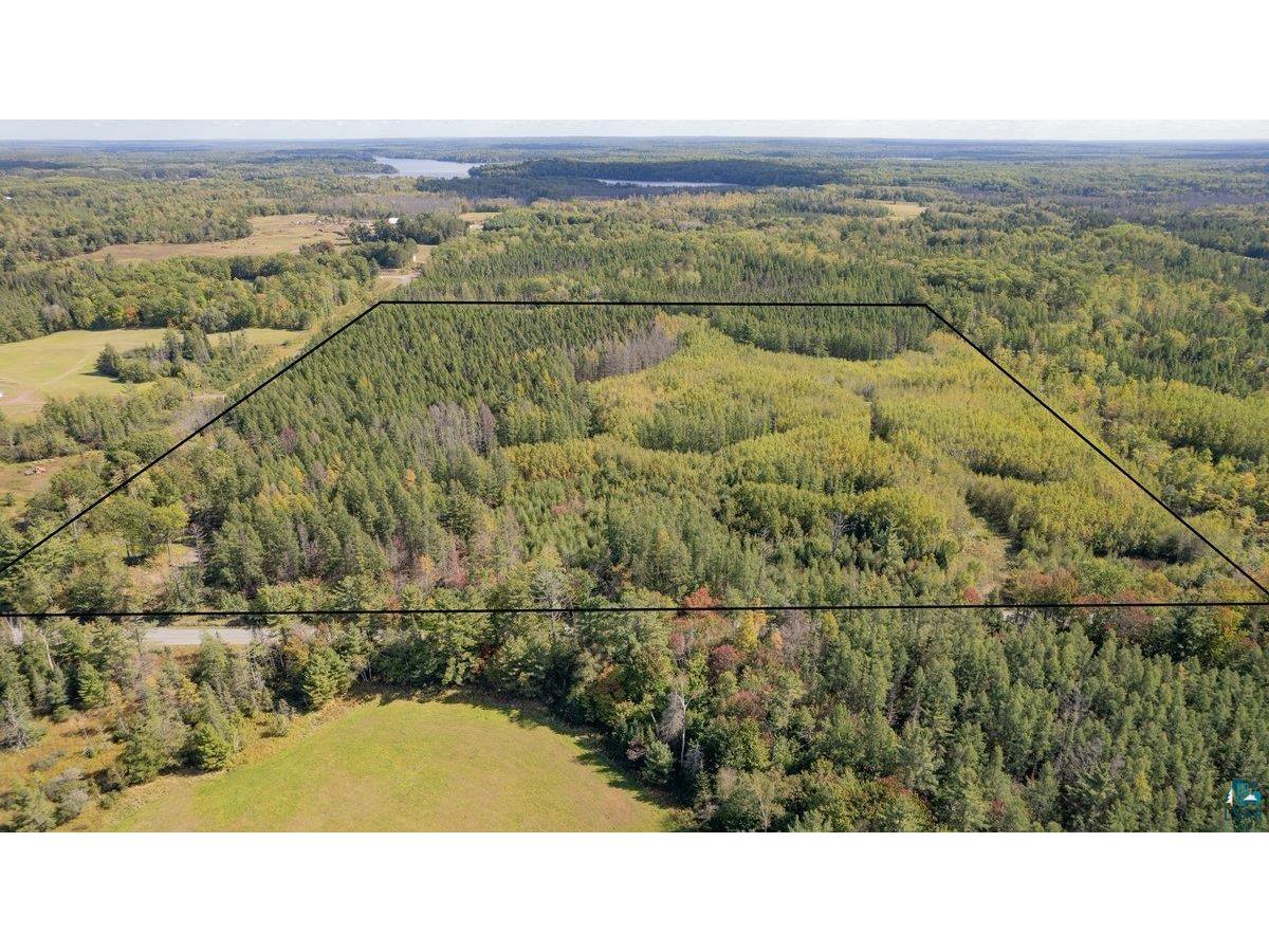 74XXX S Hallberg Rd Lake Nebagamon WI 54849 6117739 image3