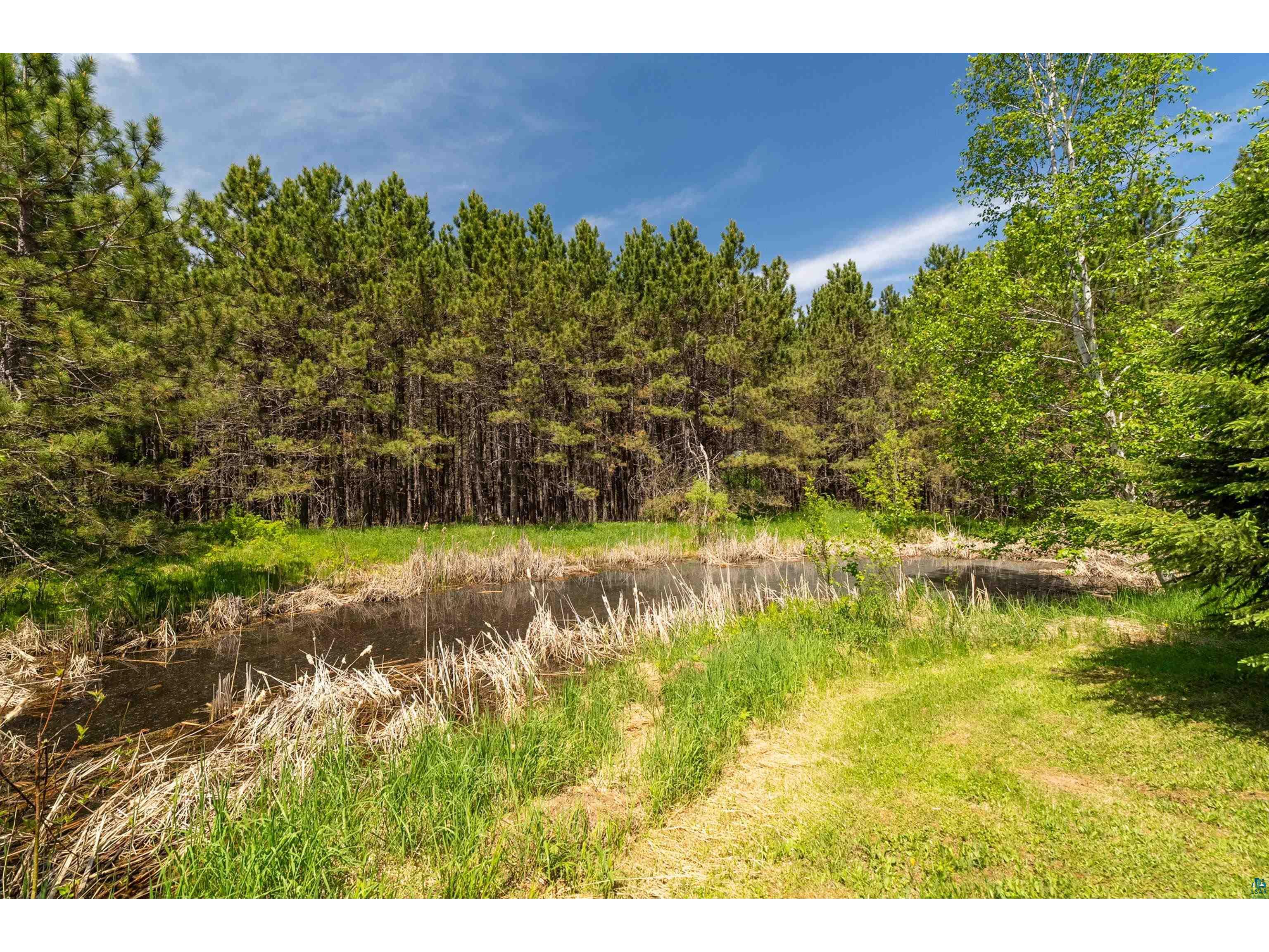 75 E Stark Rd Esko MN 55733 6125802 image73