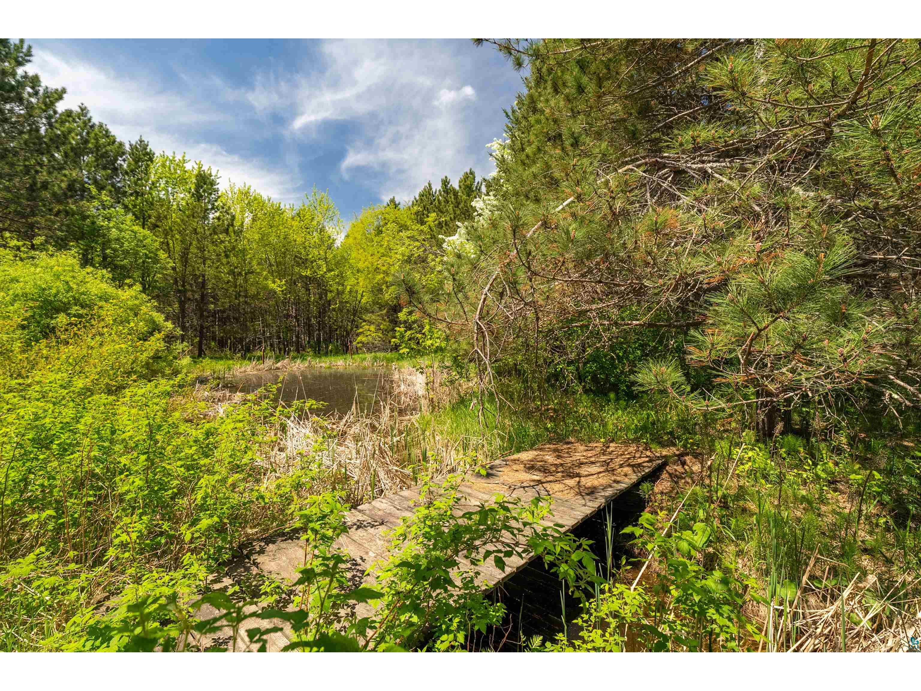 75 E Stark Rd Esko MN 55733 6125802 image74