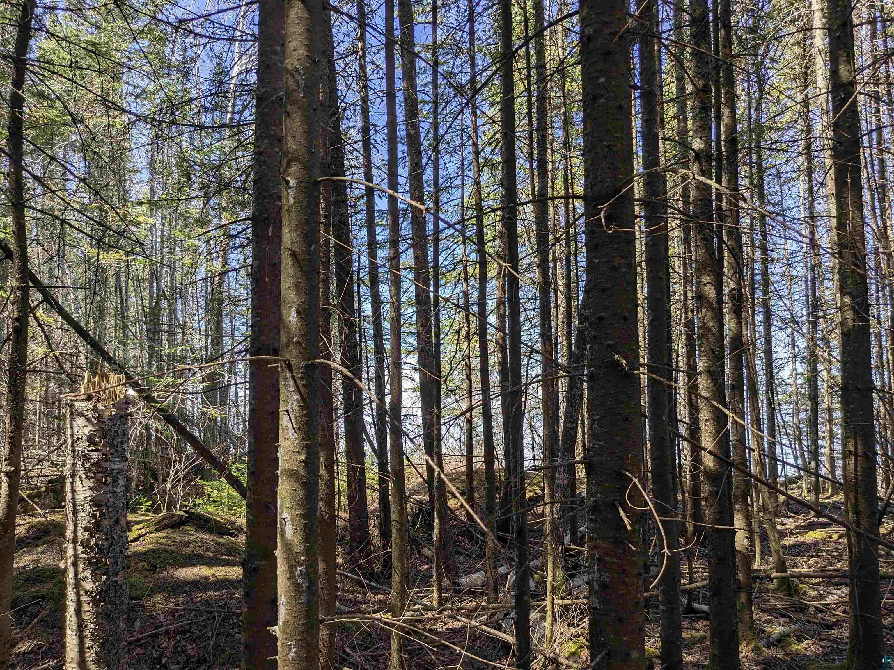 7510 Quarry Shores Rd, Port Wing, WI, 54865 MLS 6113372 Edina Realty