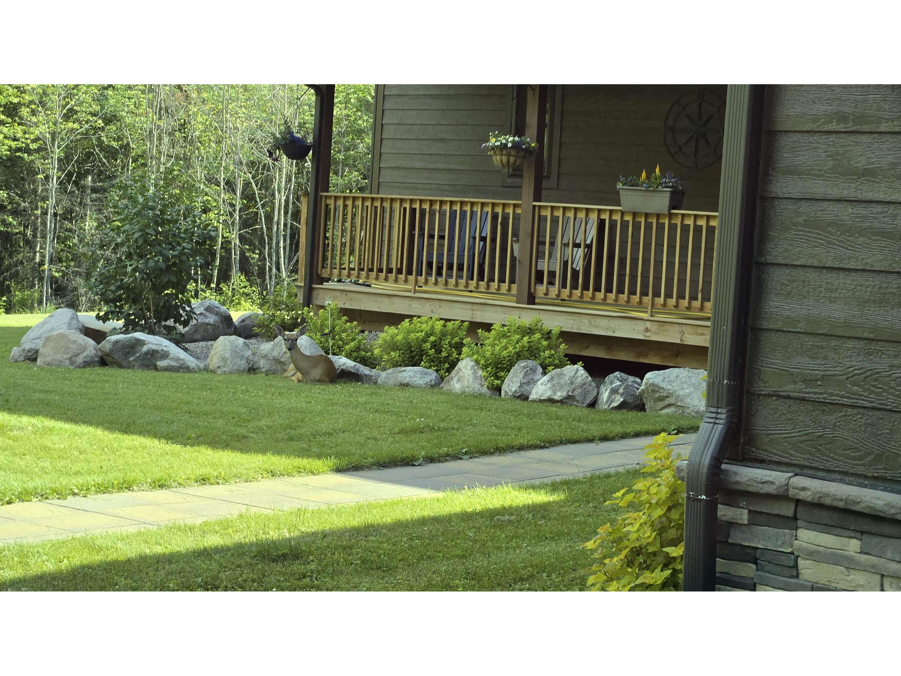 7523 Nelson Rd Crane Lake MN 55725 - Crane 6118401 image11