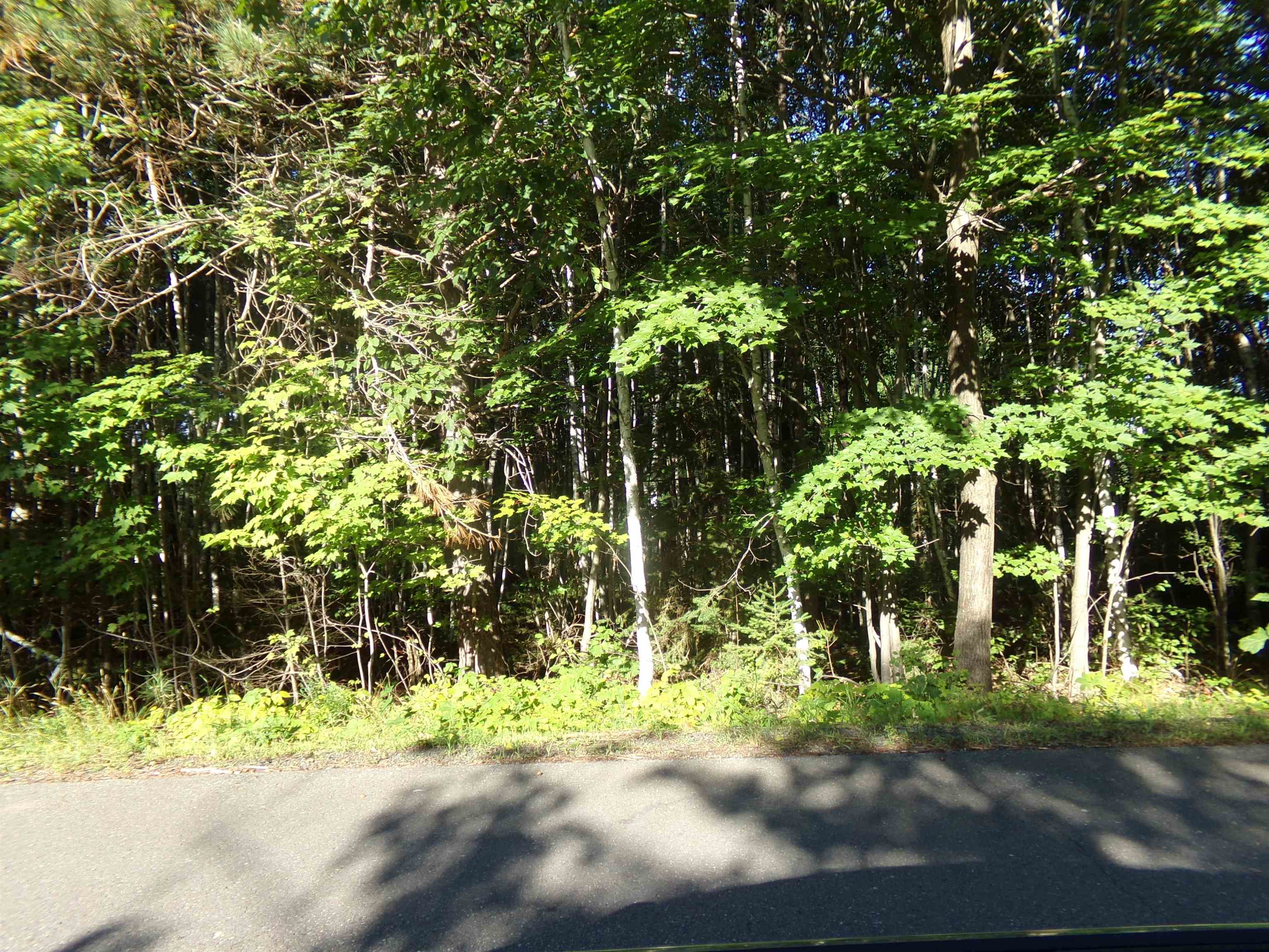 7581 S Marsik Rd Lake Nebagamon WI 54849 6121494 image1