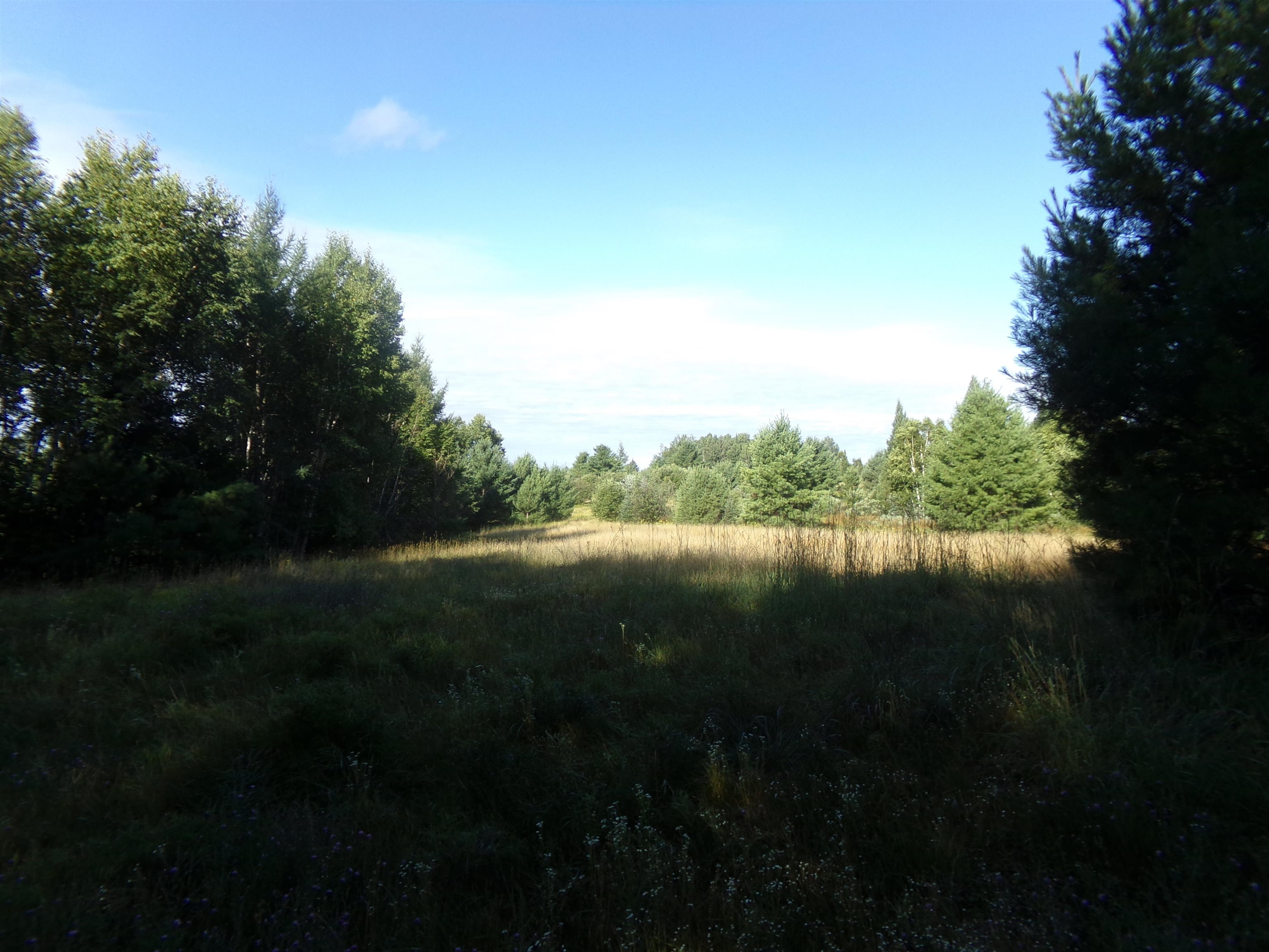 7581 S Marsik Rd Lake Nebagamon WI 54849 - Minnesuing 6121498 image1