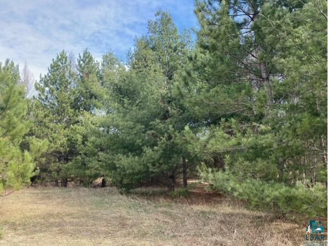 75XX S County Rd P Lake Nebagamon WI 54849 6123445 image1