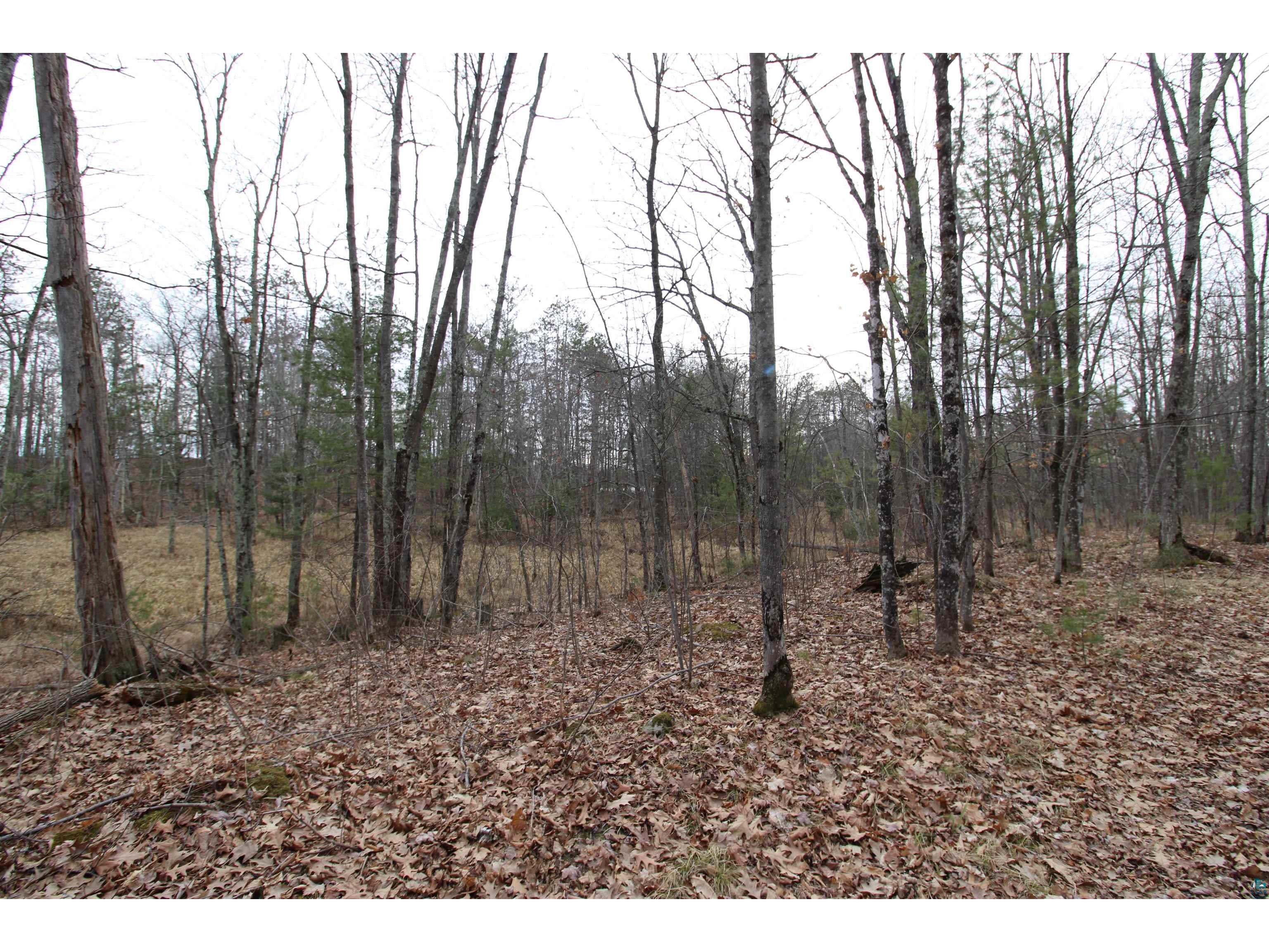 7621 N White Beach Rd Hayward WI 54834 - Schoolhouse 6119720 image22