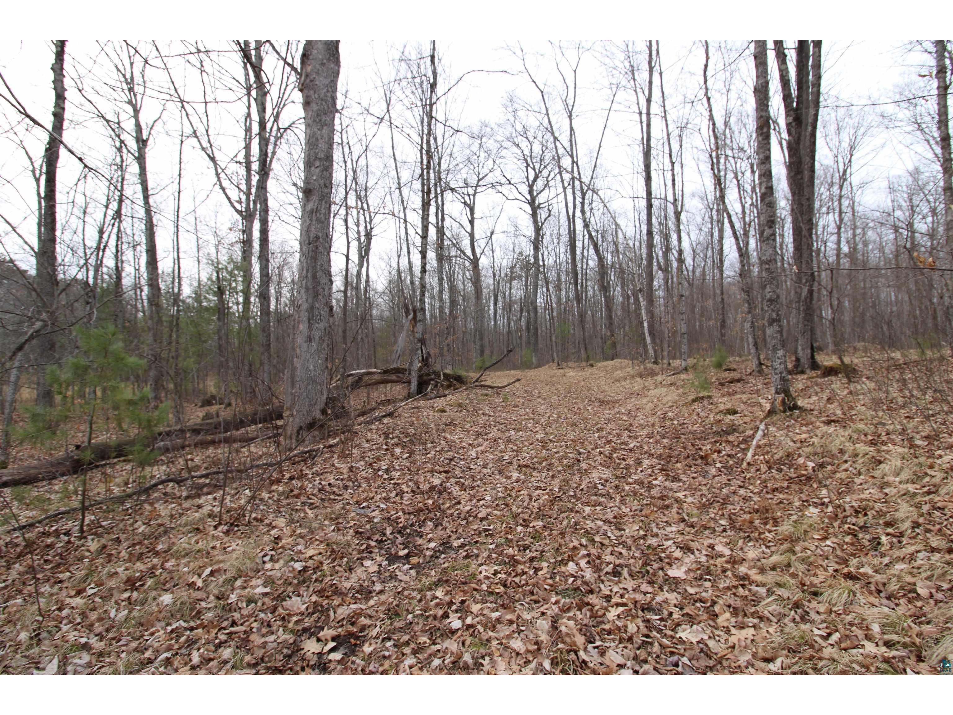 7621 N White Beach Rd Hayward WI 54834 - Schoolhouse 6119720 image23