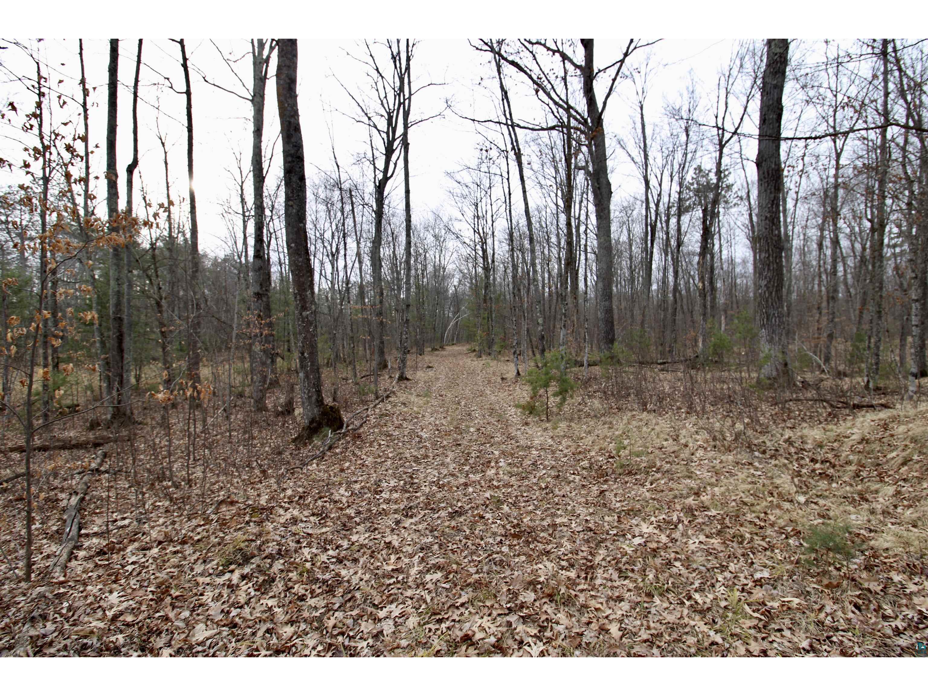 7621 N White Beach Rd Hayward WI 54834 - Schoolhouse 6119720 image24