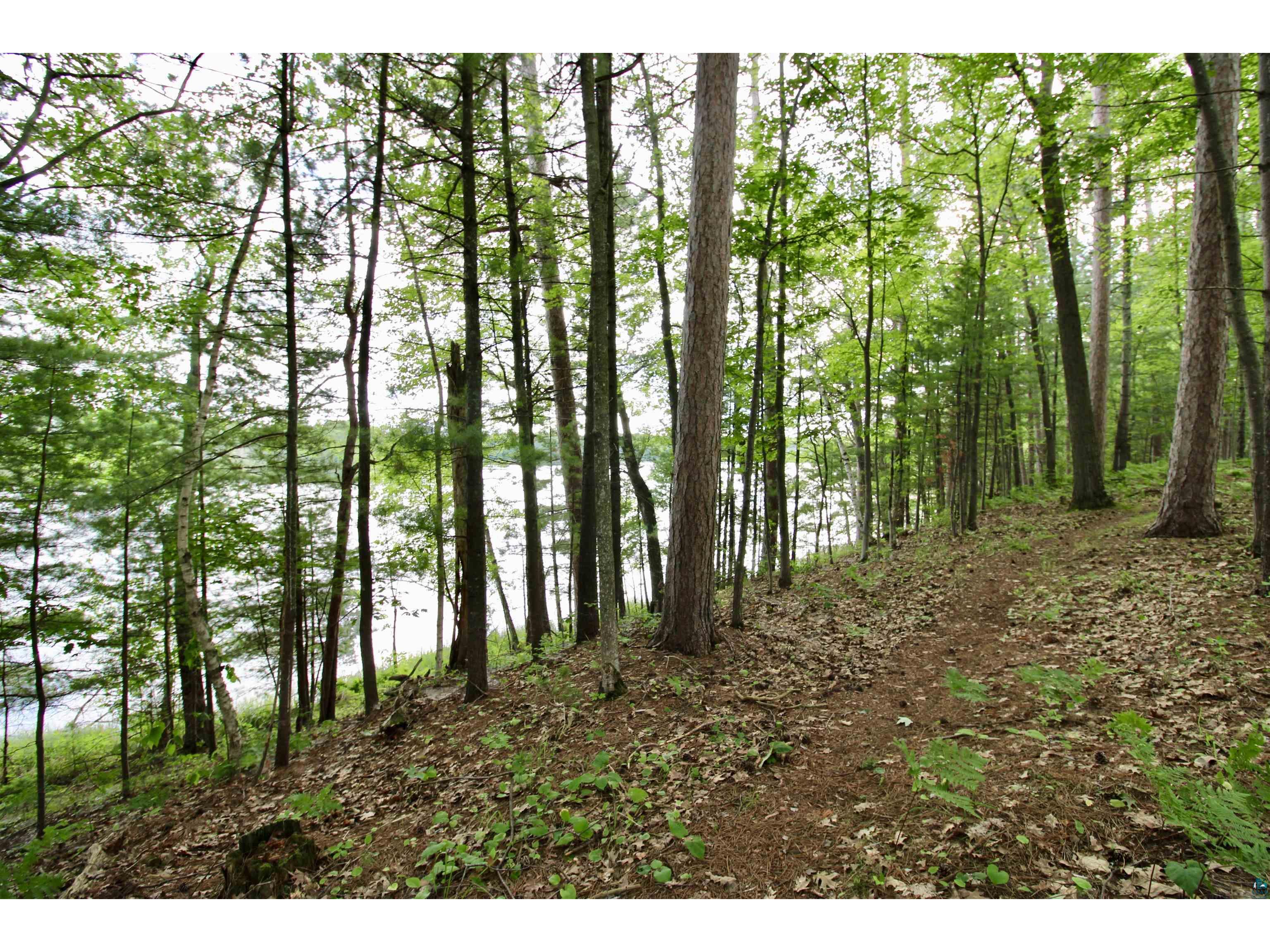 7621 N White Beach Rd Hayward WI 54834 - Schoolhouse 6119720 image6