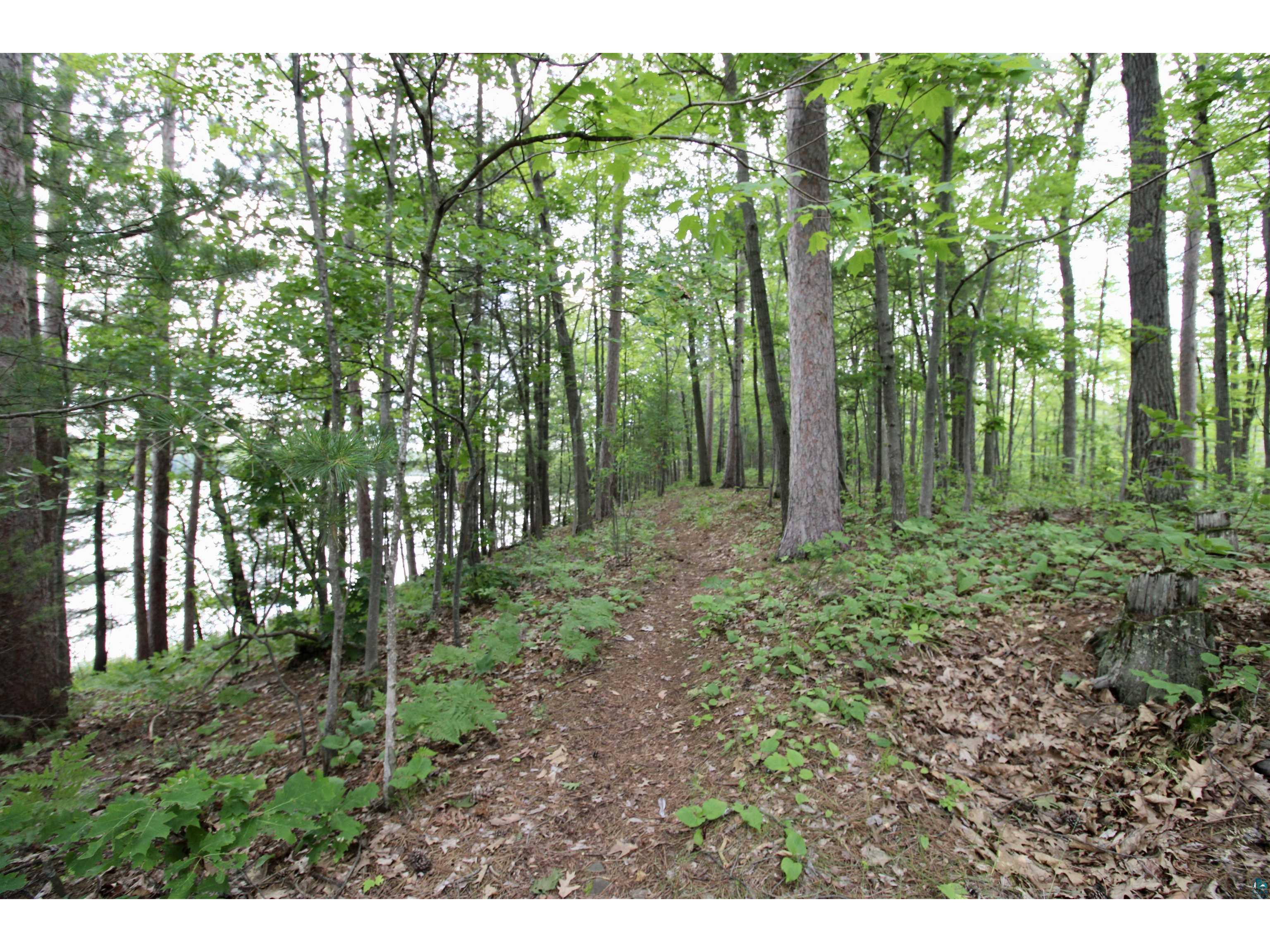 7621 N White Beach Rd Hayward WI 54834 - Schoolhouse 6119720 image7