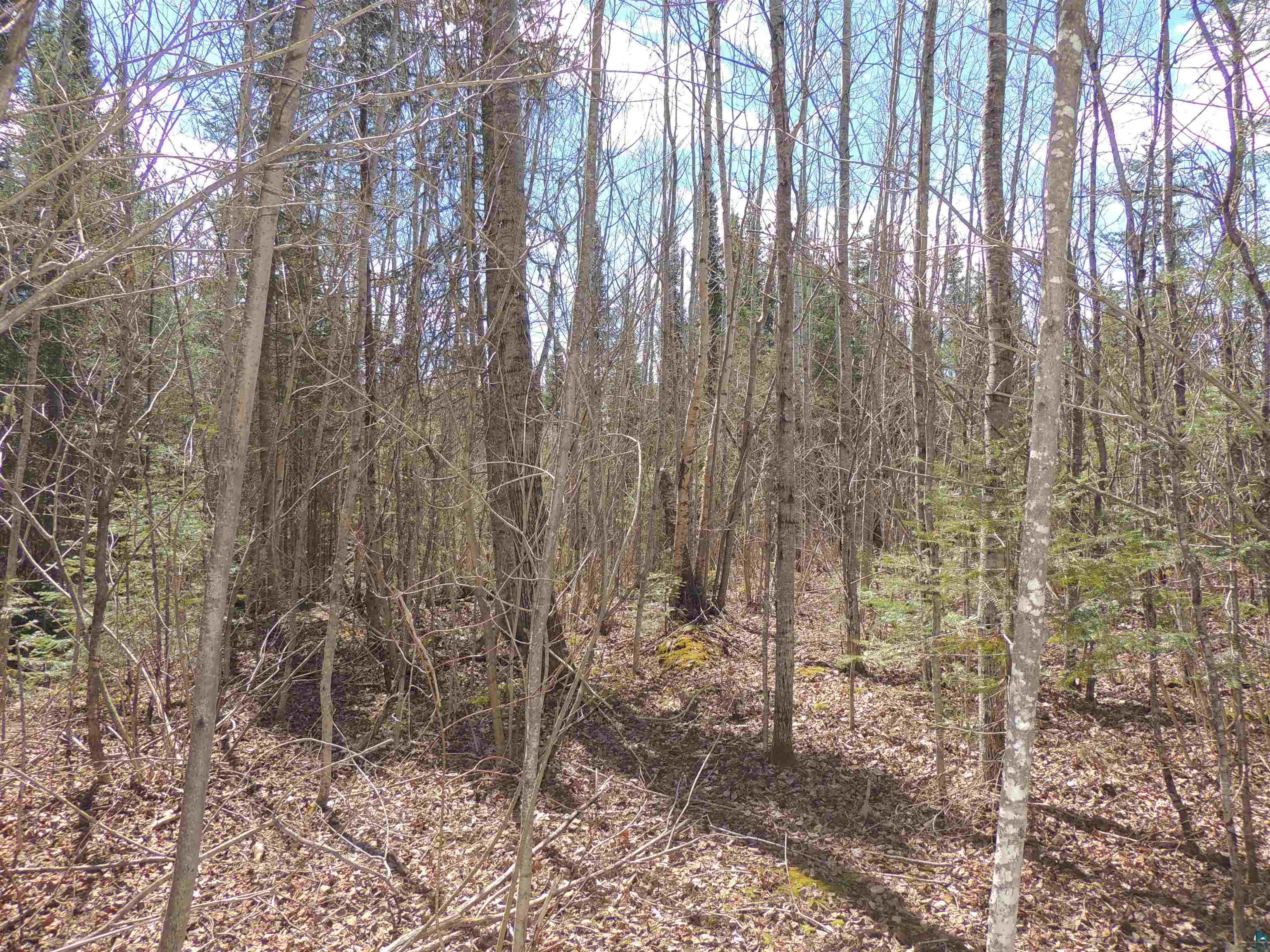 76XX Gunflint Tr Grand Marais MN 55604 - Poplar Lake 6125140 image12