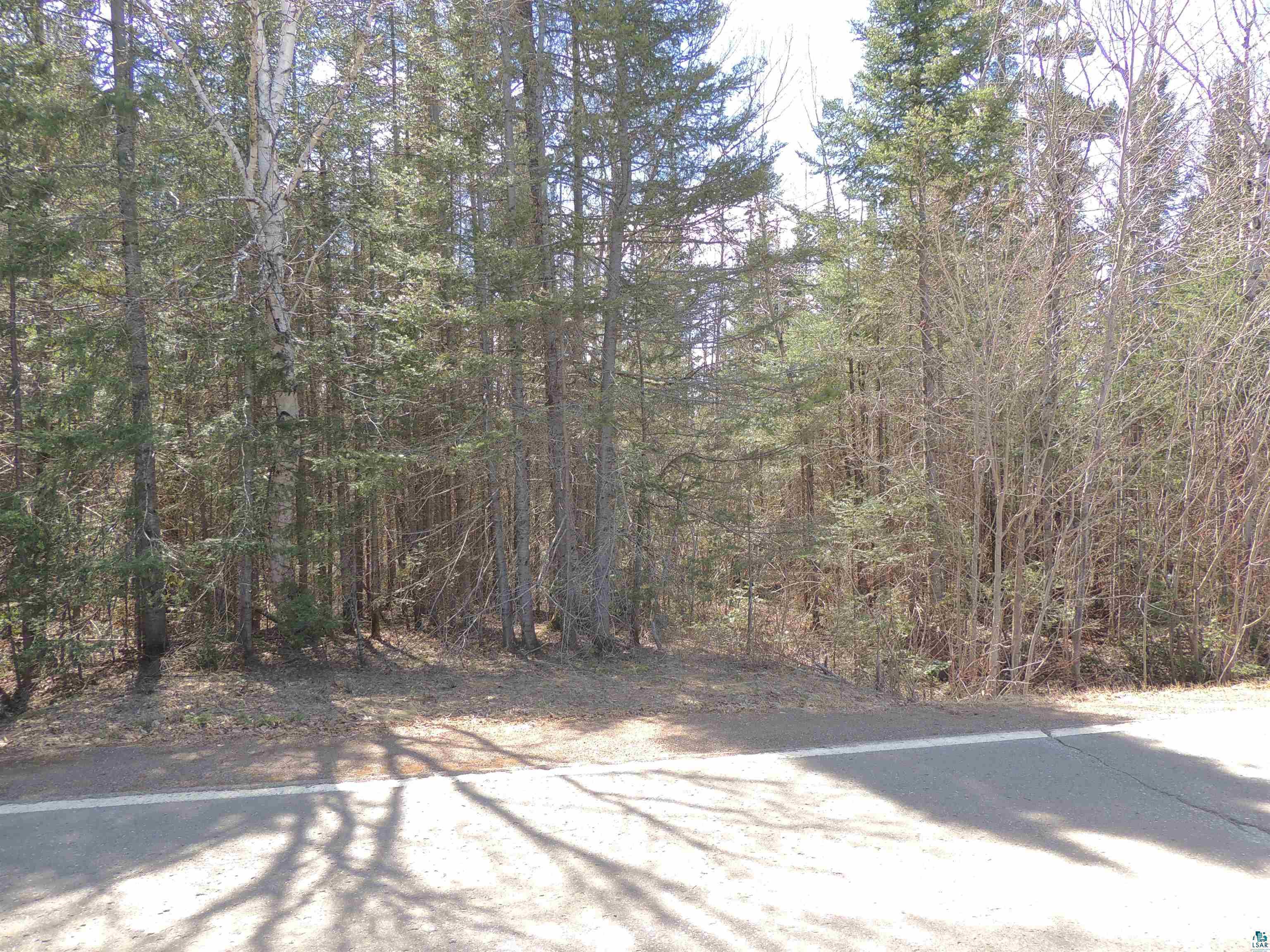 76XX Gunflint Tr Grand Marais MN 55604 - Poplar Lake 6125140 image4