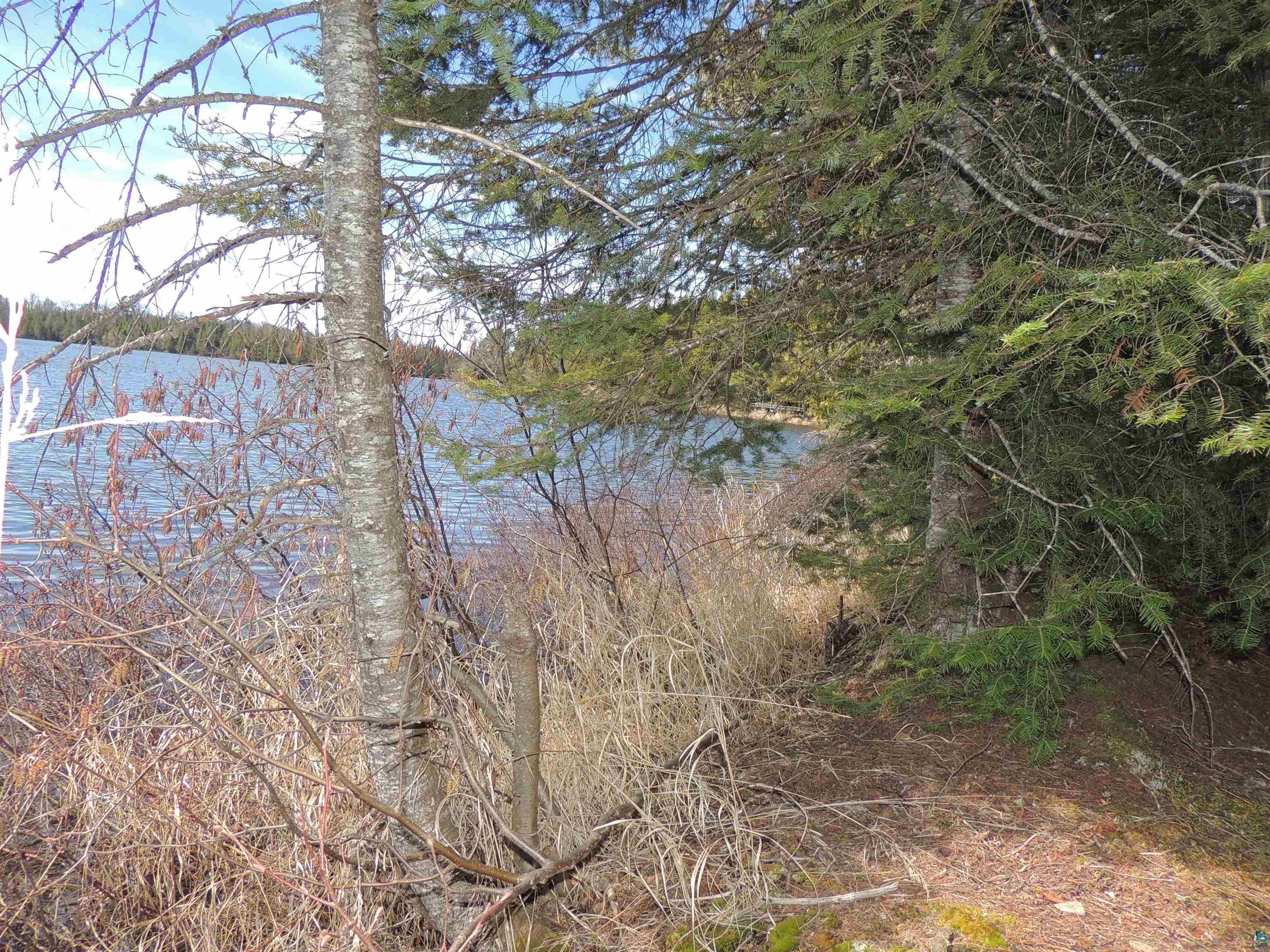 76XX Gunflint Tr Grand Marais MN 55604 - Poplar Lake 6125140 image5