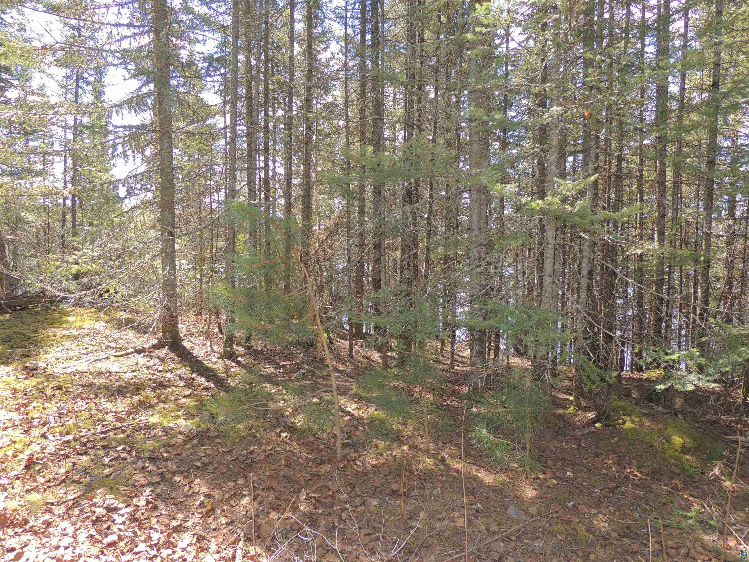 76XX Gunflint Tr Grand Marais MN 55604 - Poplar Lake 6125140 image7