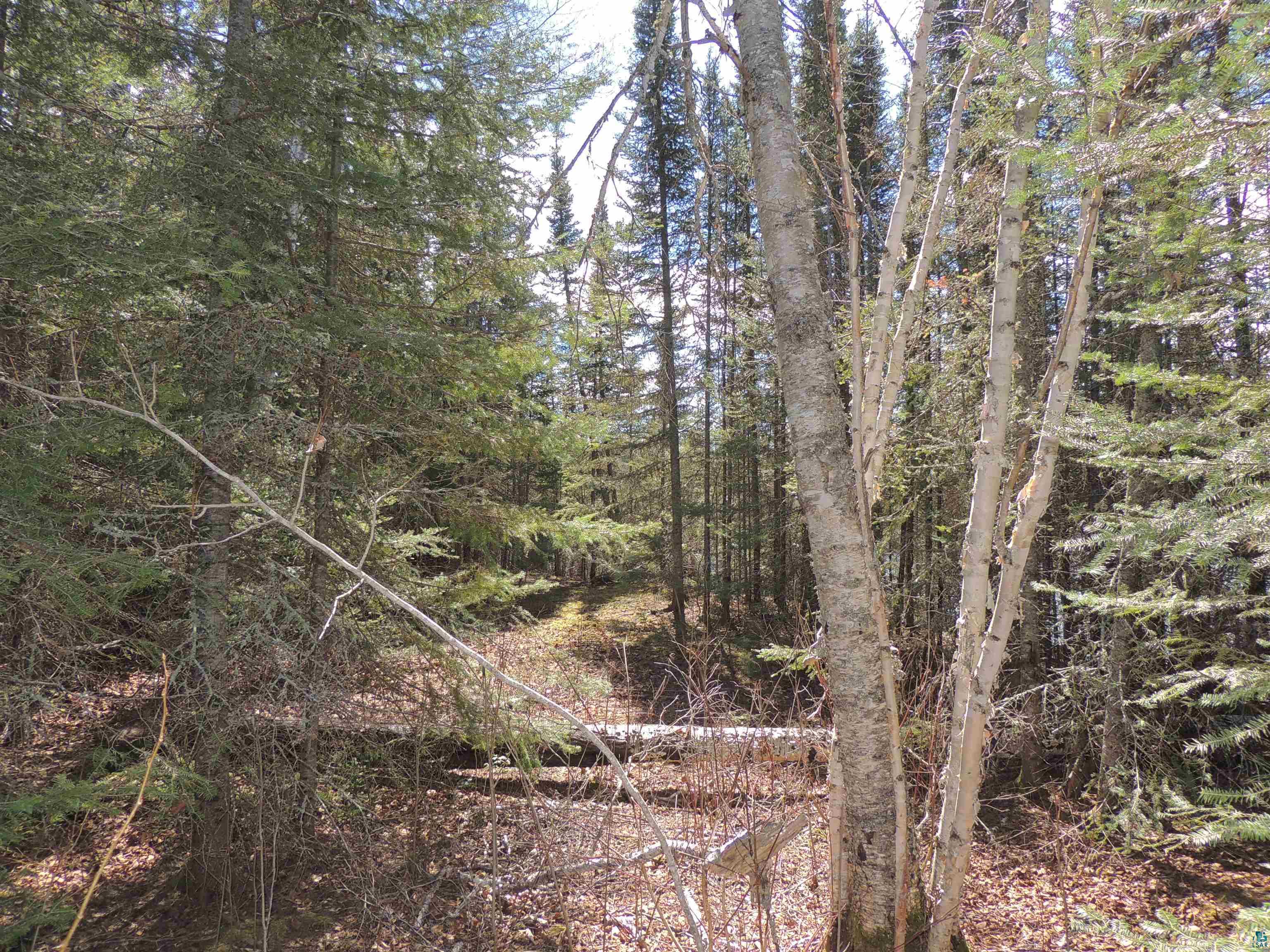 76XX Gunflint Tr Grand Marais MN 55604 - Poplar Lake 6125140 image8