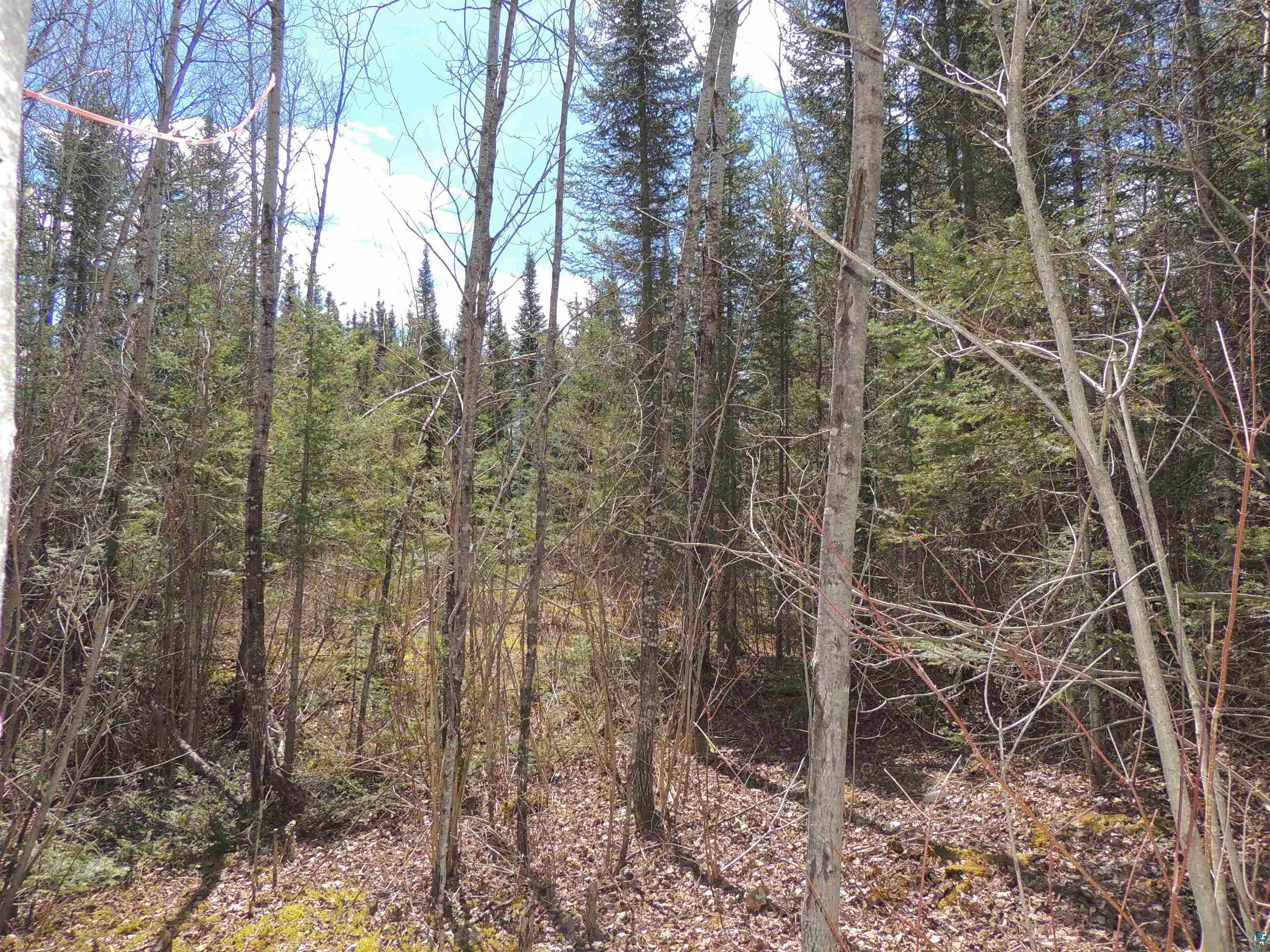 76XX Gunflint Tr Grand Marais MN 55604 - Poplar Lake 6125140 image9