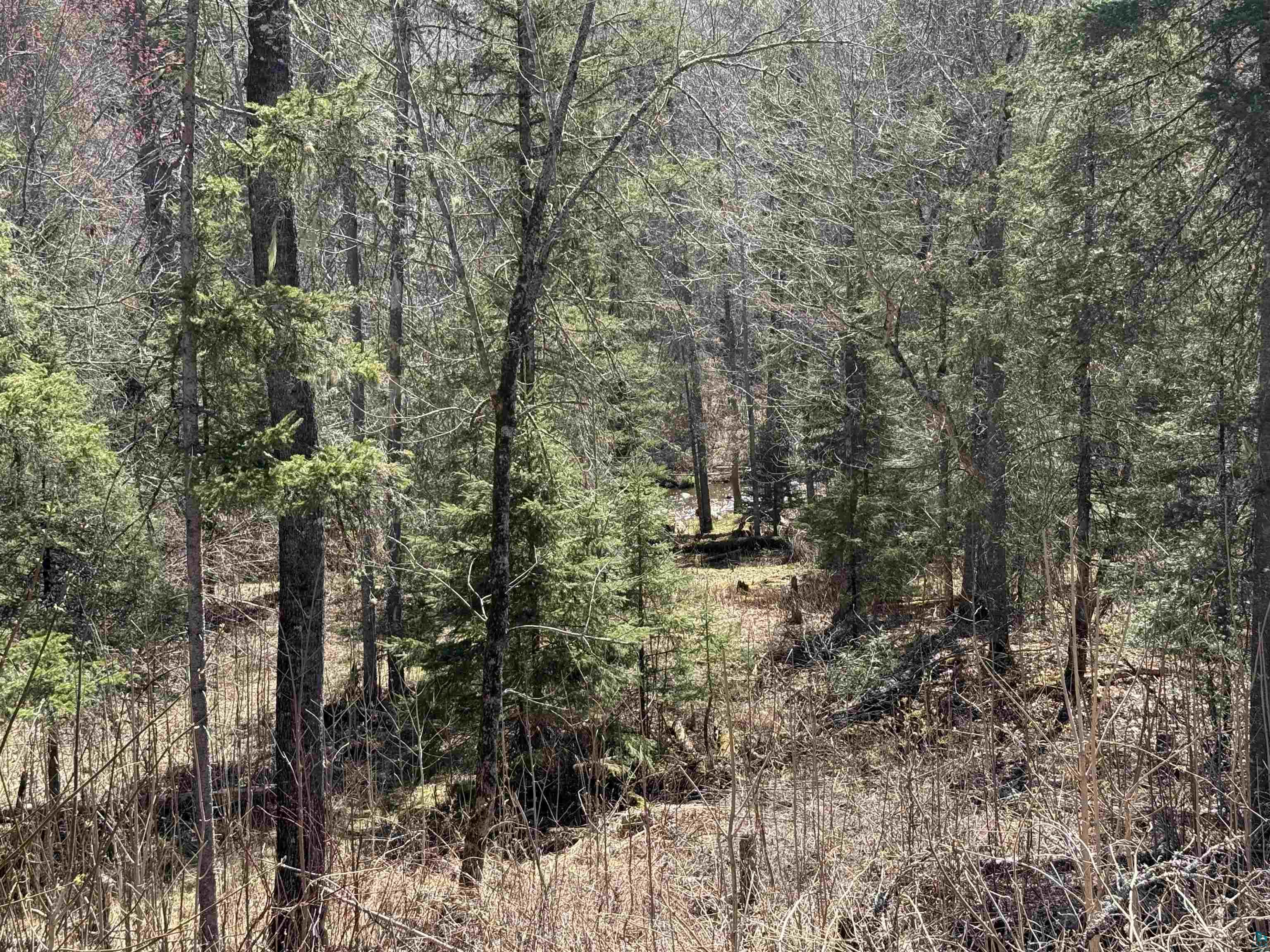 77410 Kaukamo Rd Orienta WI 54847 - Iron Lake 6125154 image21