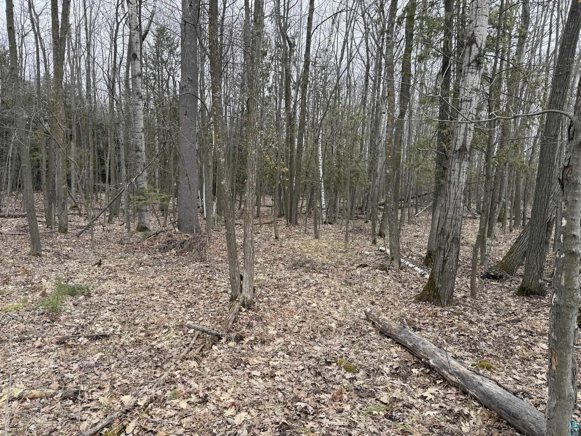 77905 Washington Ave Washburn WI 54891 6124632 image34