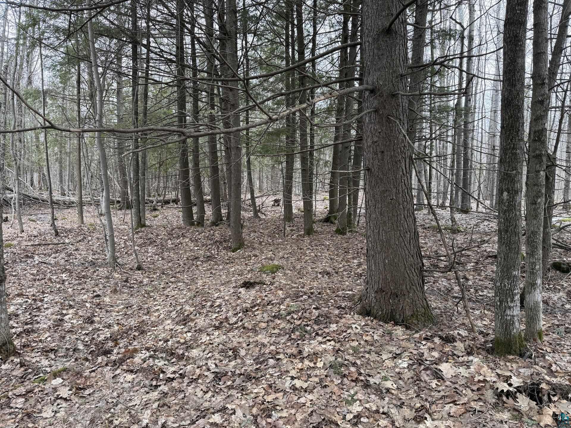 77905 Washington Ave Washburn WI 54891 6124632 image40