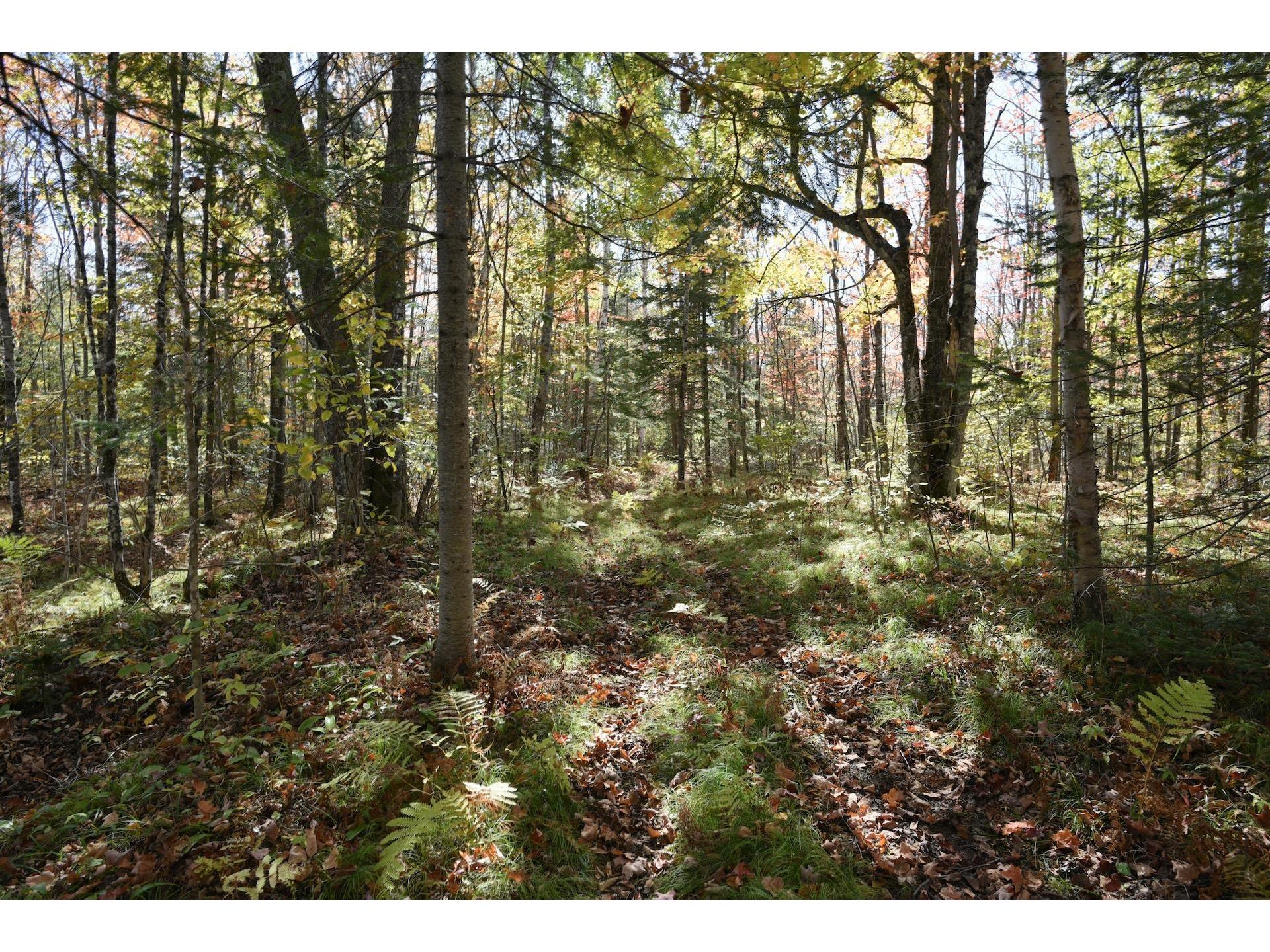 77942 County Line Rd Mellen WI 54546 - Devils 6122150 image25