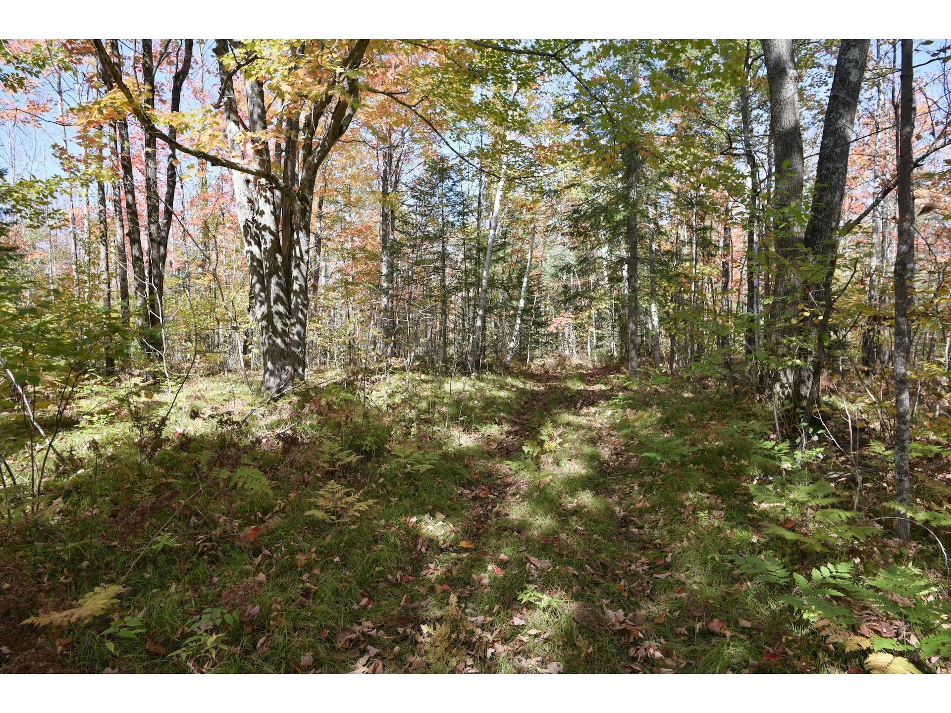 77942 County Line Rd Mellen WI 54546 - Devils 6122150 image26