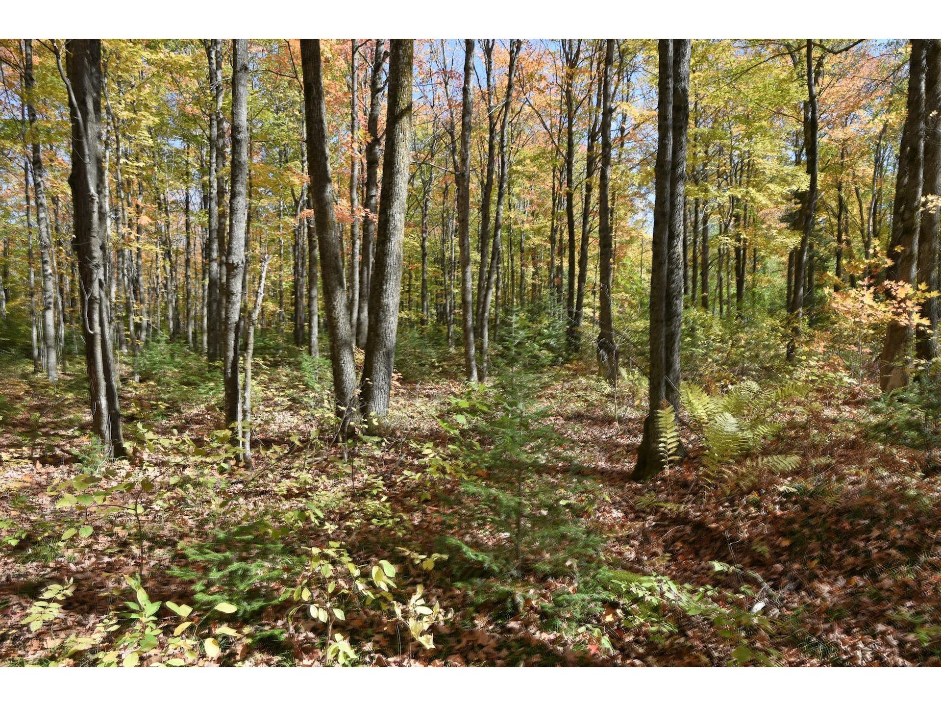 77942 County Line Rd Mellen WI 54546 - Devils 6122150 image27